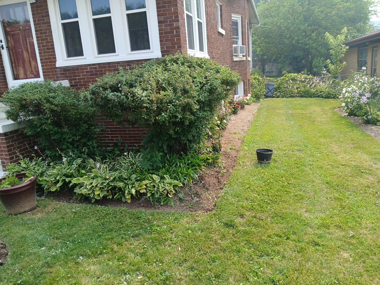 Veronkia S. - Mount Prospect, IL by A&N