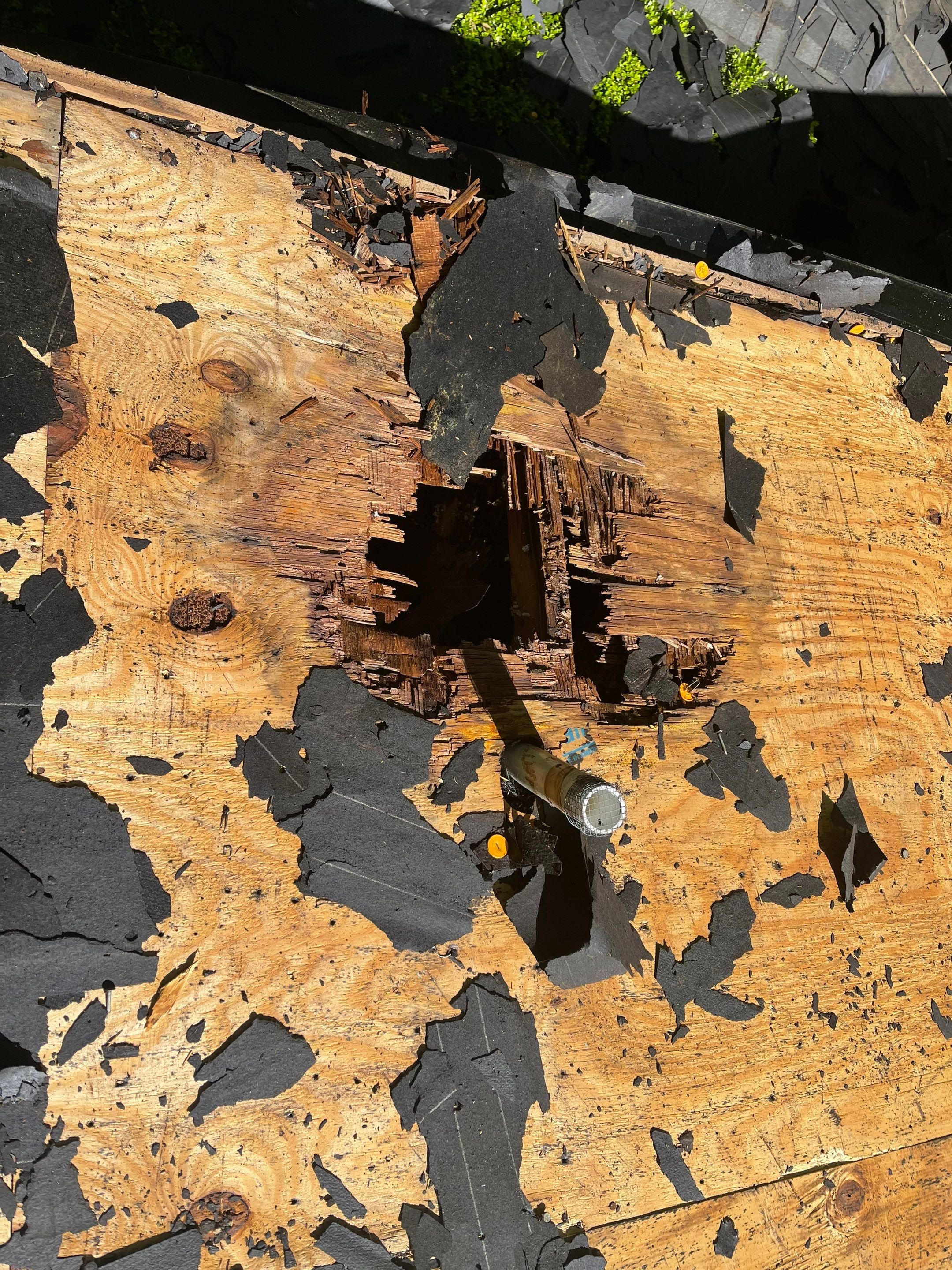 Hail Damage using Atlas Pristine Pinnacle Shingles by Artigues Roofing & Restoration Services