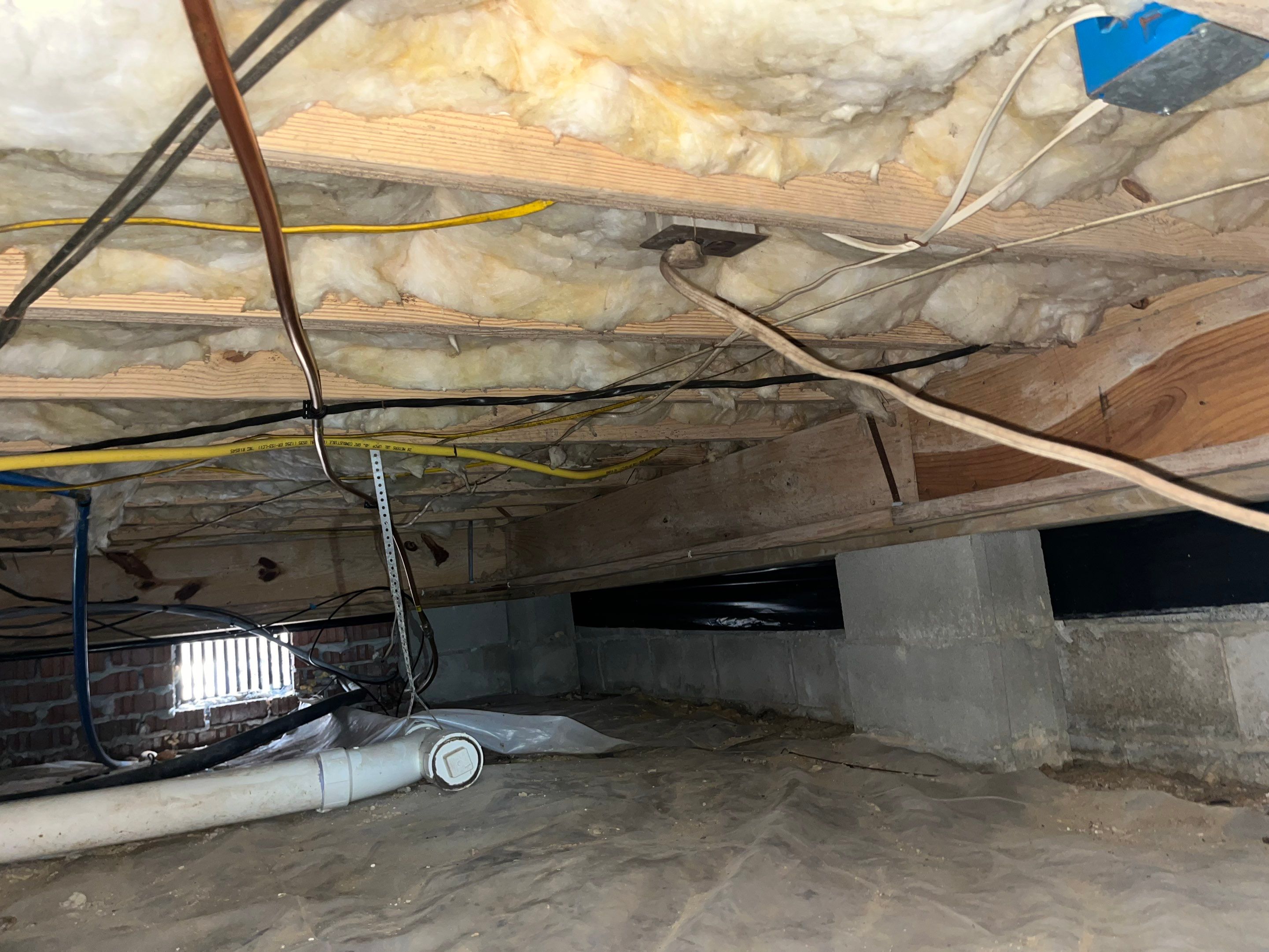 Impact Choice Encapsulation with French Drain, Mold Removal, and Crawlspace Door by Impact Crawlspace