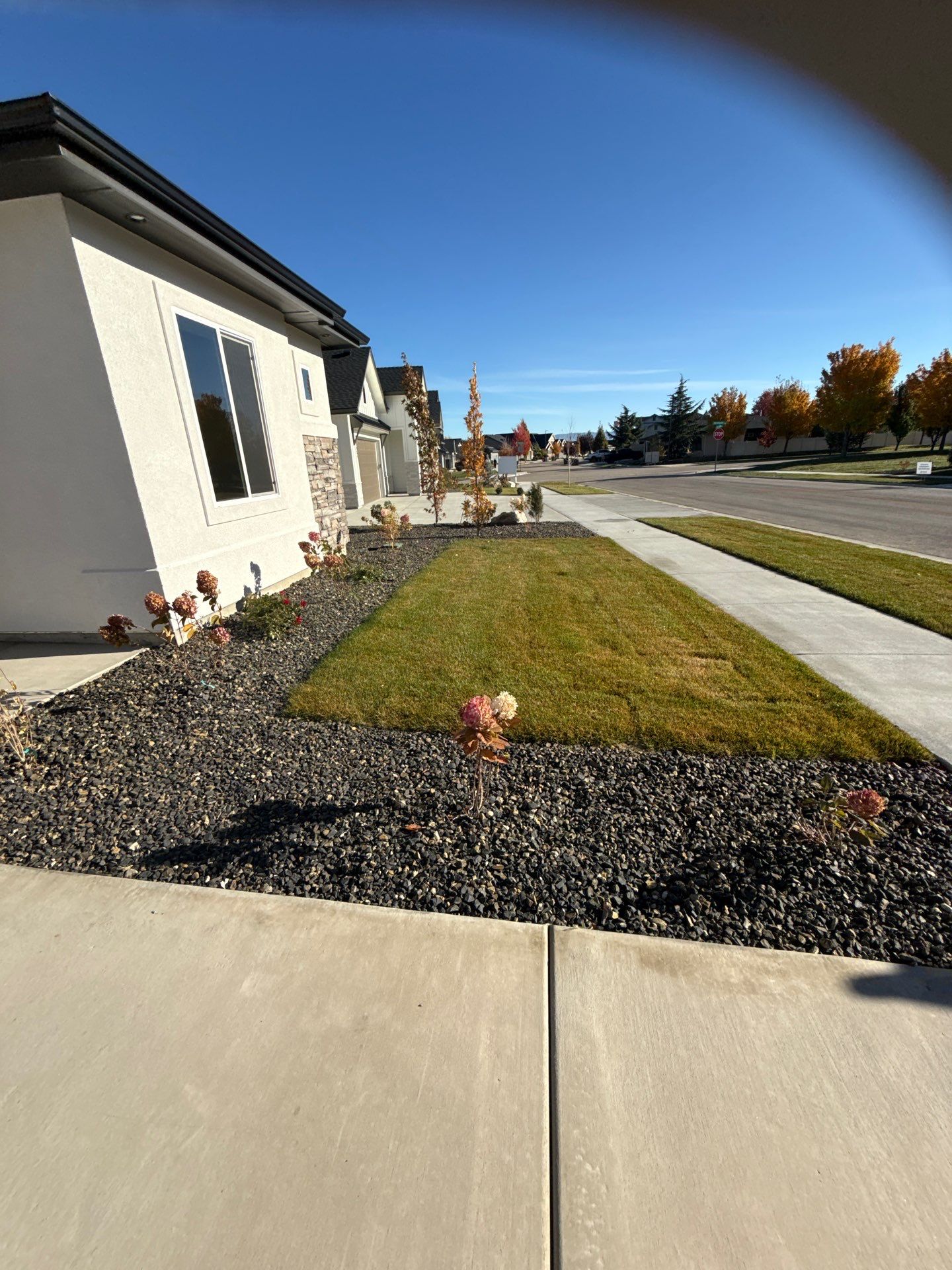 Oak Subdivision by Signature Roofing