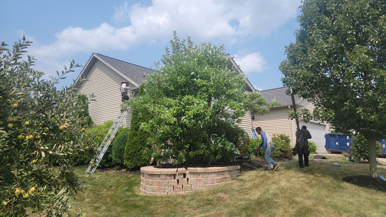 Sally Stang by Silver Leaf Contracting 