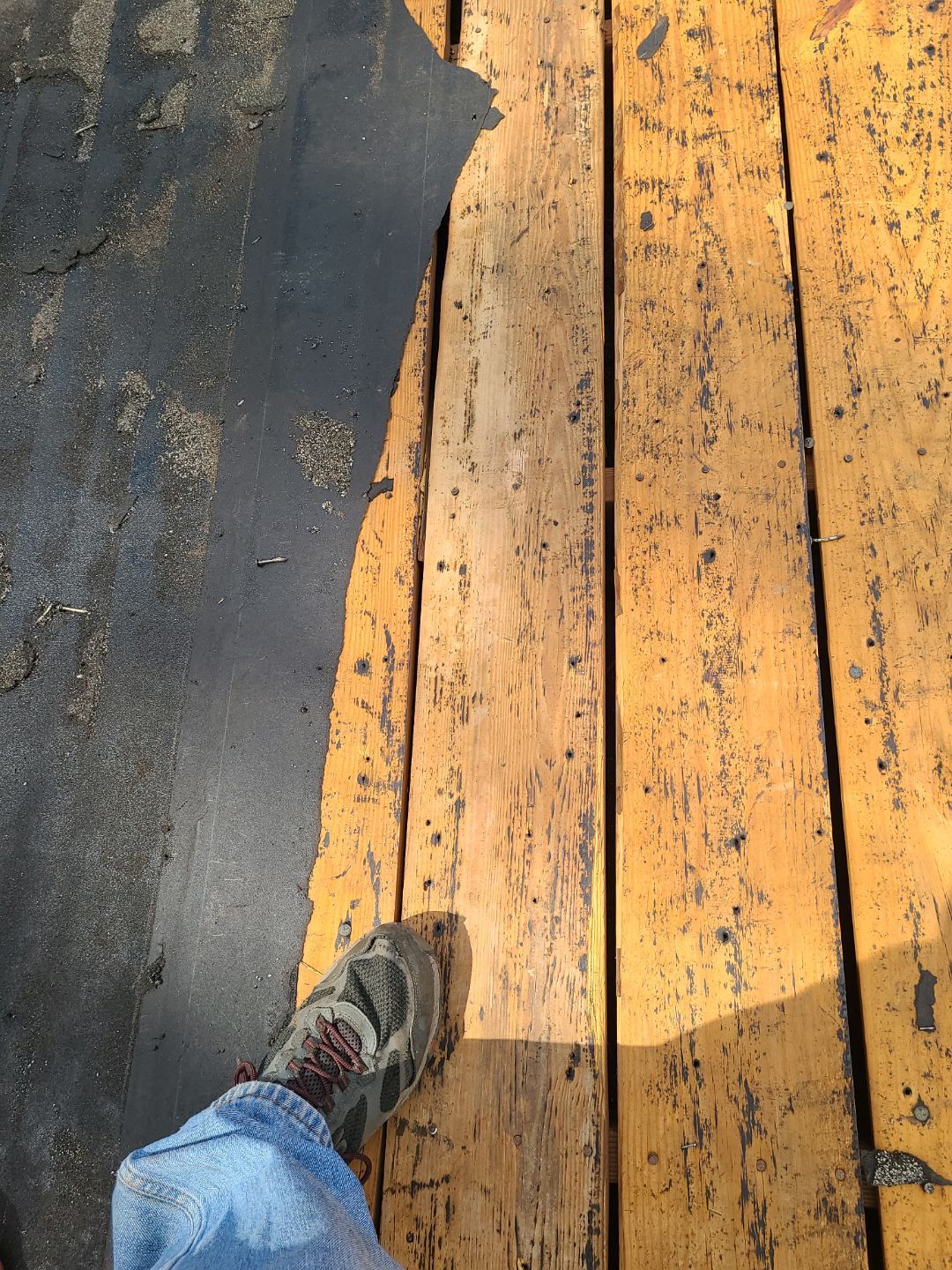 Alexandria CertainTeed Landmark Pro Roof in Max Def Charcoal Black by RM Banning, Inc.