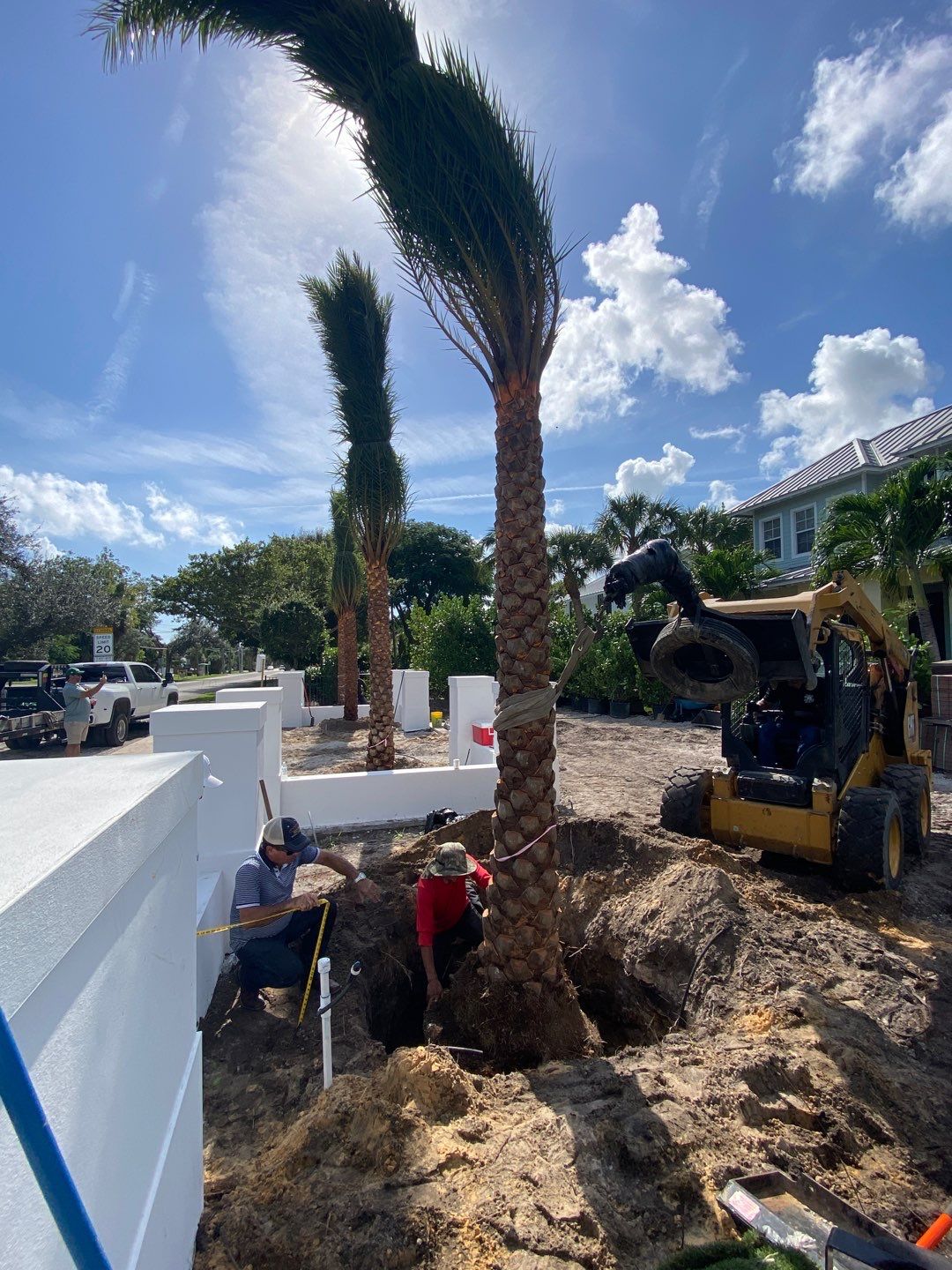 Hazard  by The Landscaping People