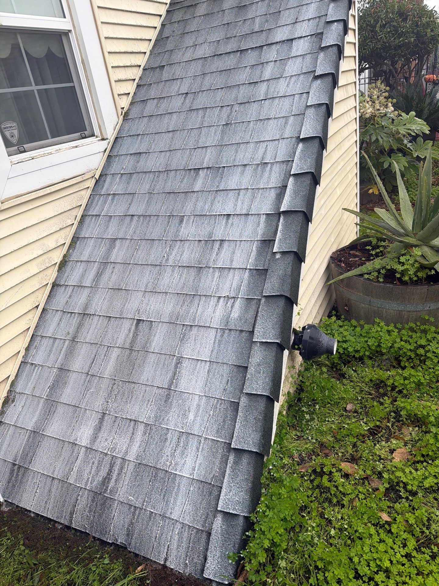 Roof Rejuvenation using Roof Maxx Treatment by Roof Maxx of Folsom