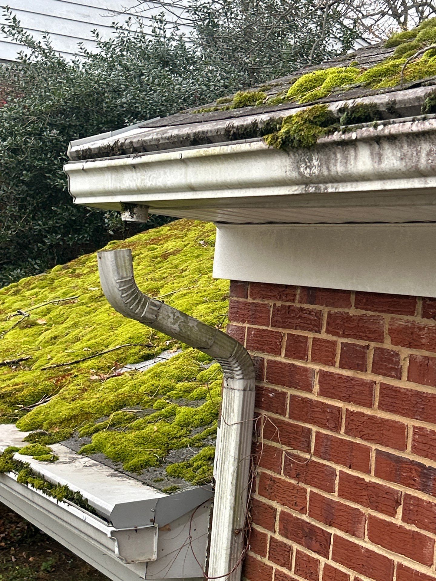 Arlington :Residential Roof Replacement with CertainTeed Landmark Pro in Max Def Red Oak  by RM Banning, Inc.