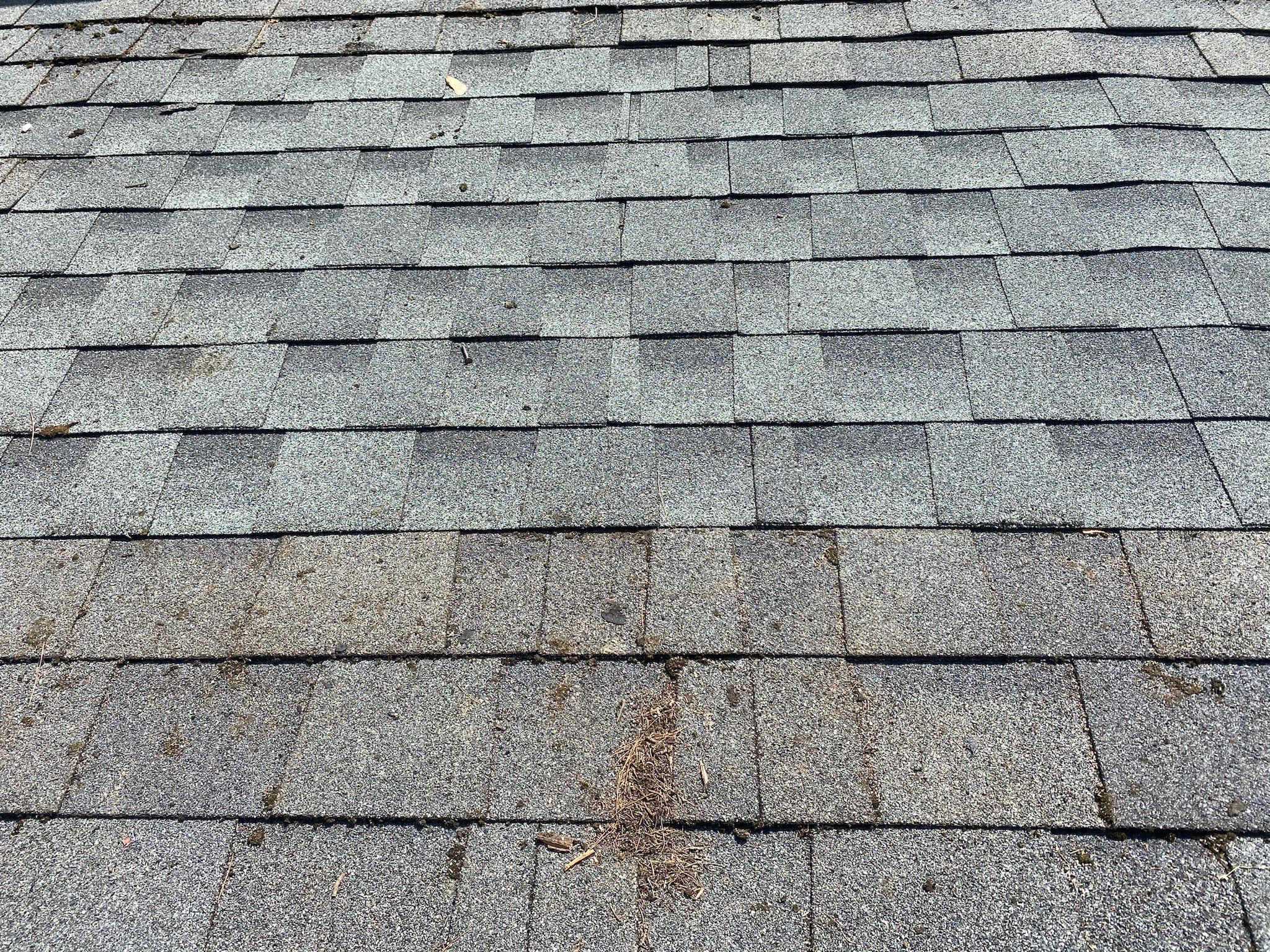 Michelle Putnam  by Silver Leaf Contracting 