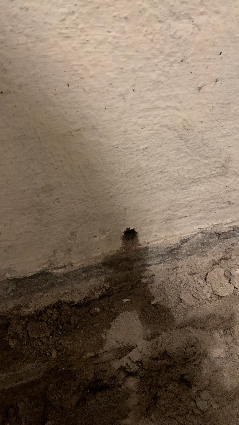 Basement Remodel for New Tenants in North by Waterproofing Northeast