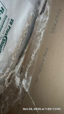 Wet Carpet Drying — Cape Coral, FL