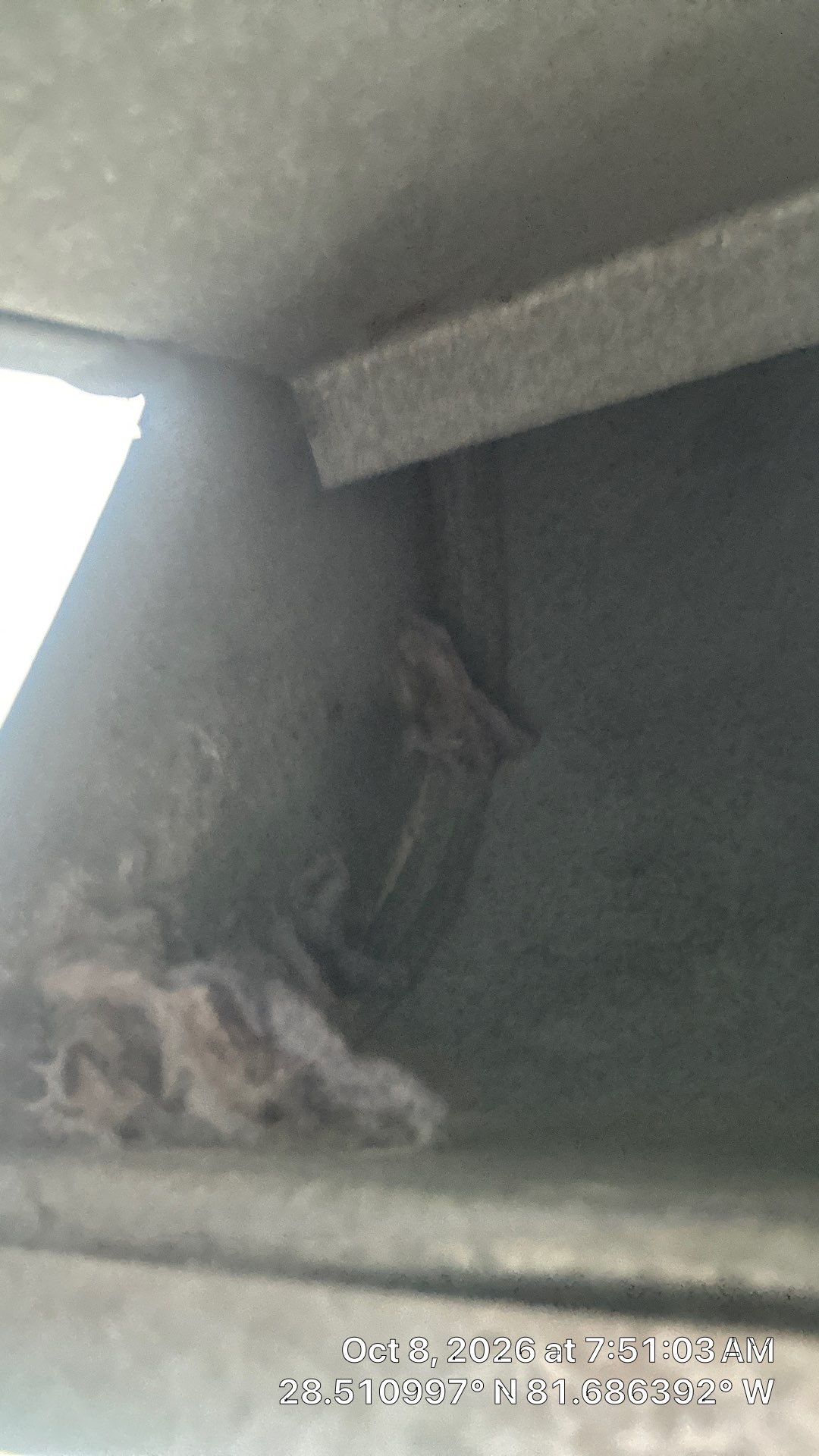 Dryer Vent Inspection & Lint Removal in Clermont by Hygienic Air, Inc