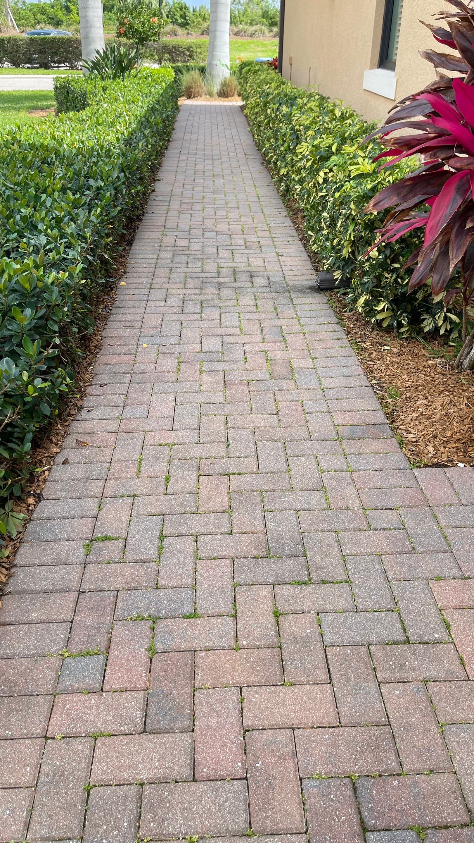 HOA Paver Driveway & Sidewalk Cleaning in Sarasota National, Venice, FL | Sunshine AquaWash by Sunshine AquaWash