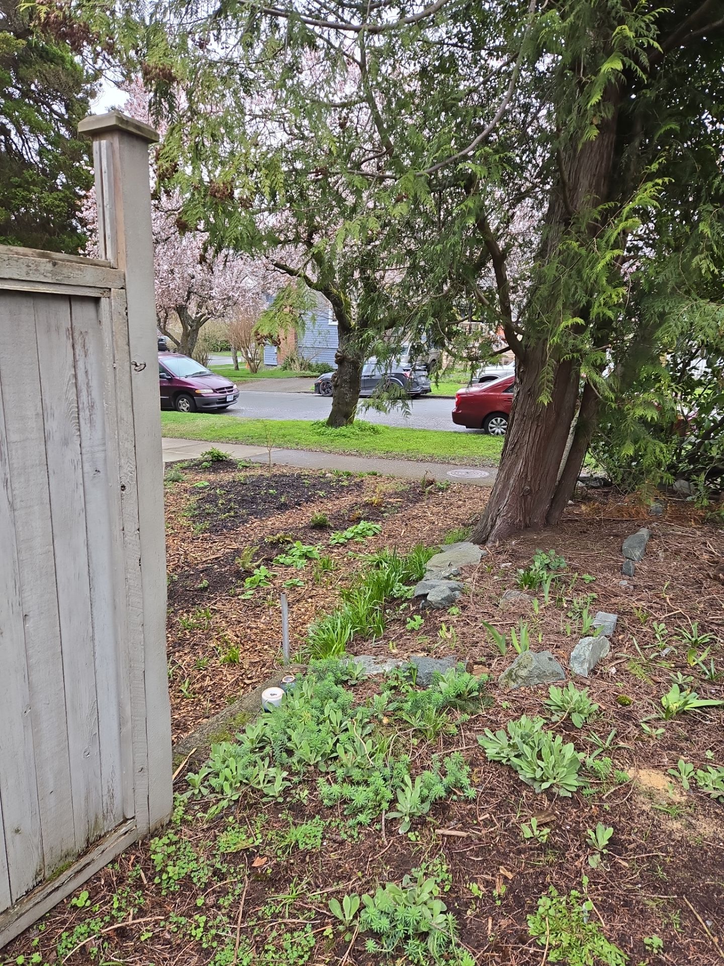 Complete backyard transformation by Habanero Garden and Exterior Care