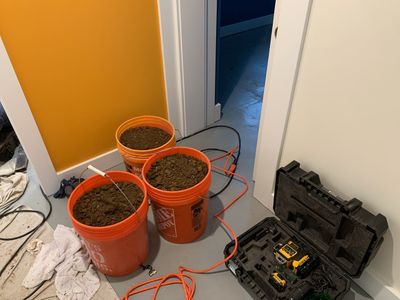 Project in Portland