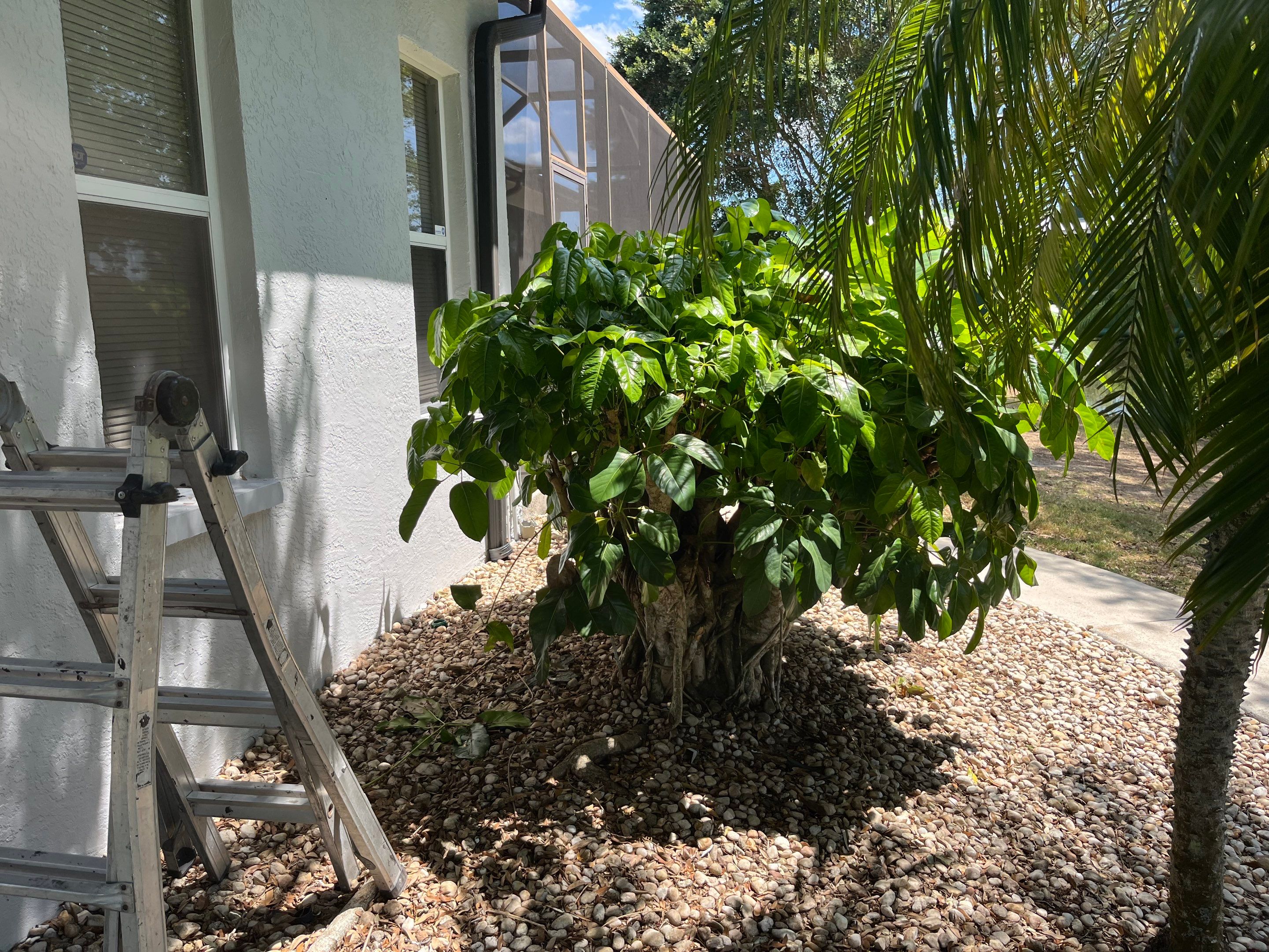 New Soffit and Fascia and Gutters in North Fort Myers FL by Gutter Professors