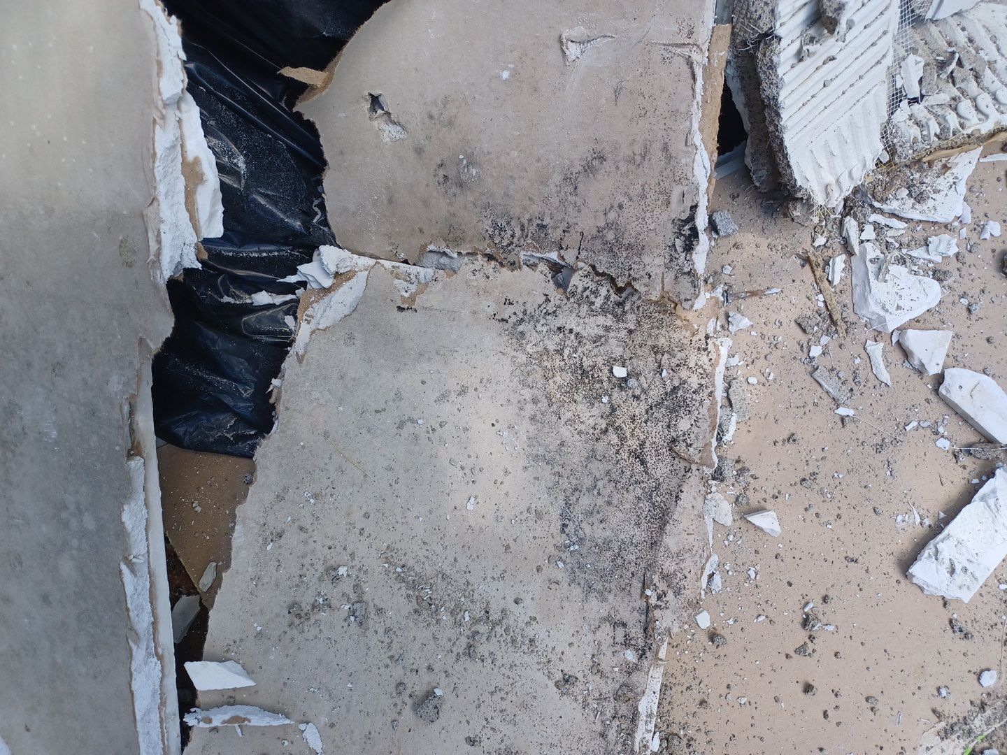 Project in West Bloomfield Township by EzDry Water Mitigation & Property Restoration