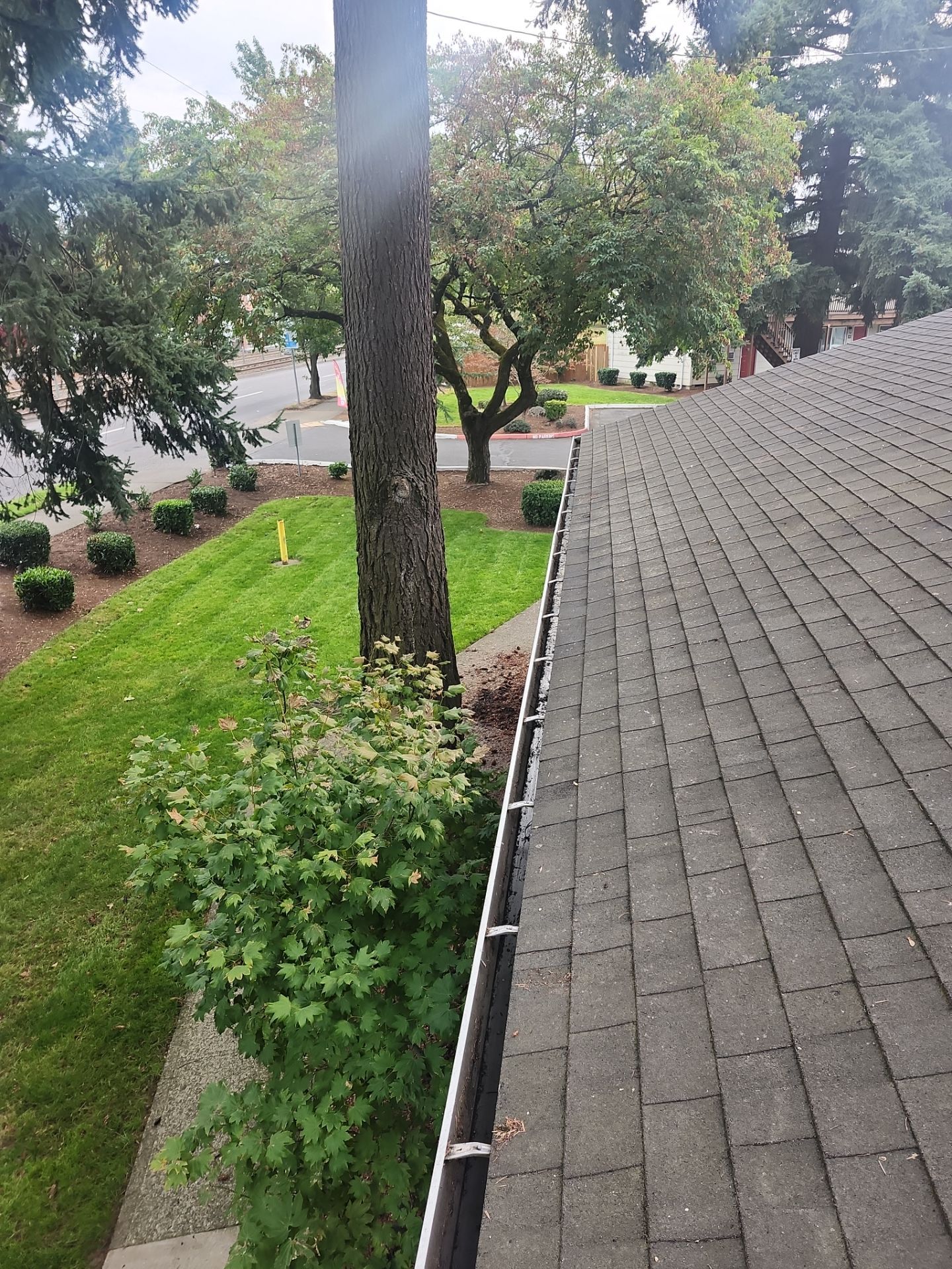 Commercial gutter cleaning Portland, OR after photo with clean gutters