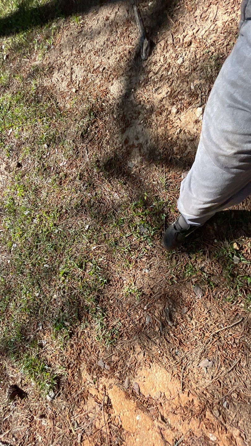 Commercial Roofing Installation using Owens Corning Autumn Brown by Inspector Roofing and Restoration