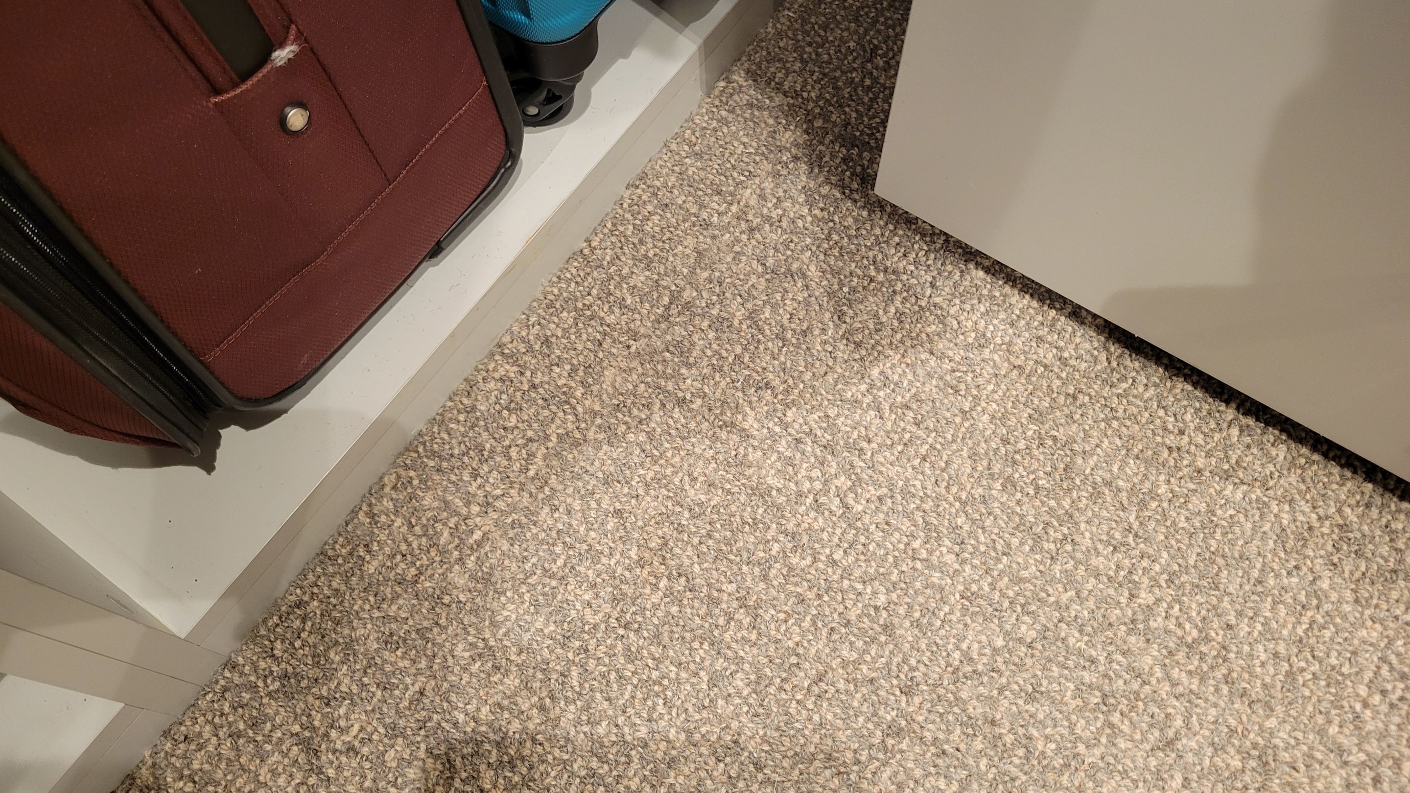 Repairing Wool Carpet Damaged by Moths by Ardent Carpet Restore LLC