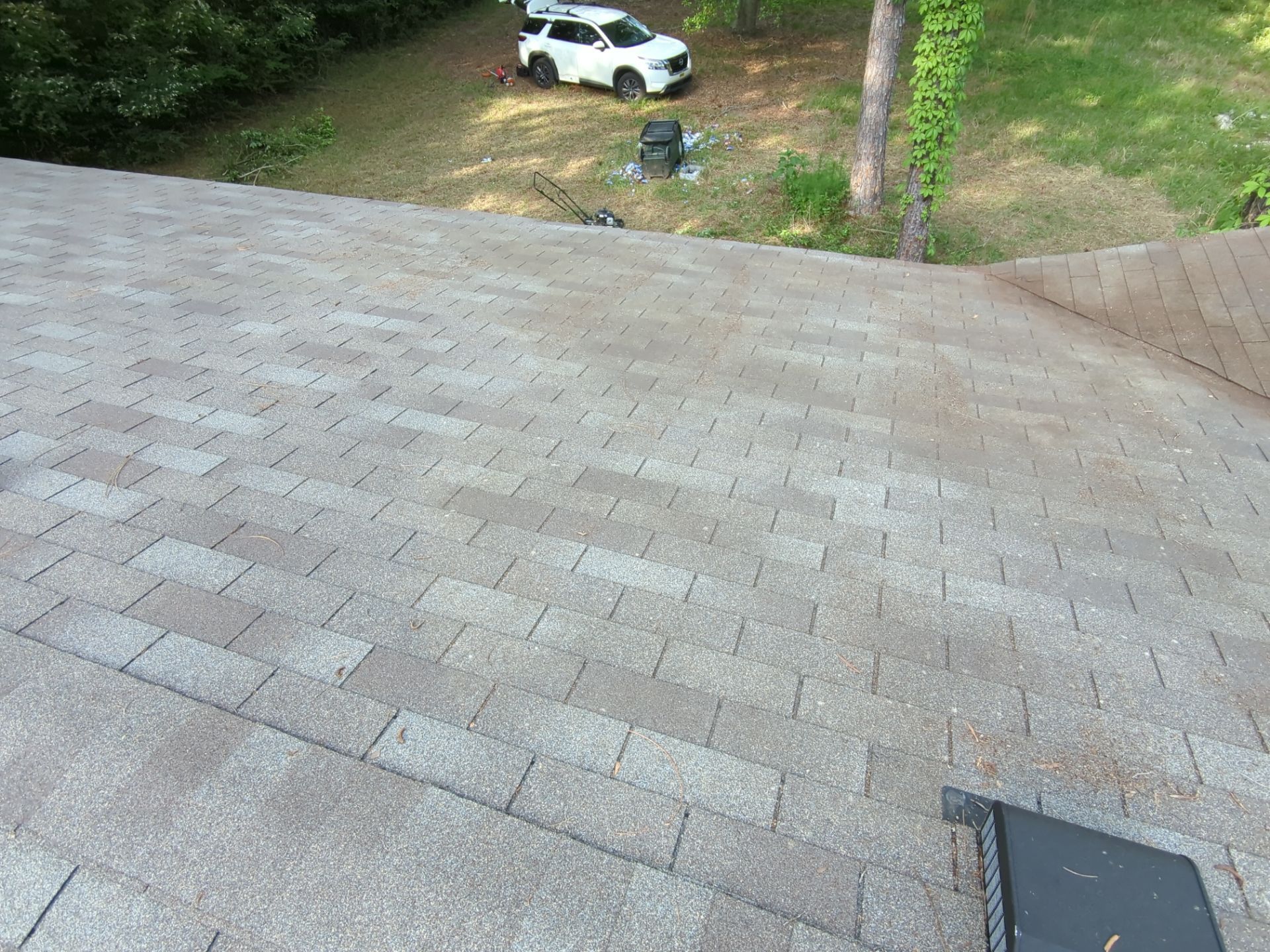 Exterior Clearing - tree trimming - grass cut by Swift Signings and Services LLC