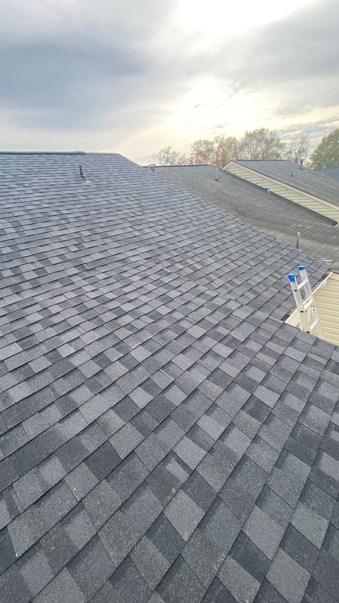 Herndon: Residential Roof Replacement with CertainTeed Landmark Pro in Max Def Moire Black by RM Banning, Inc.