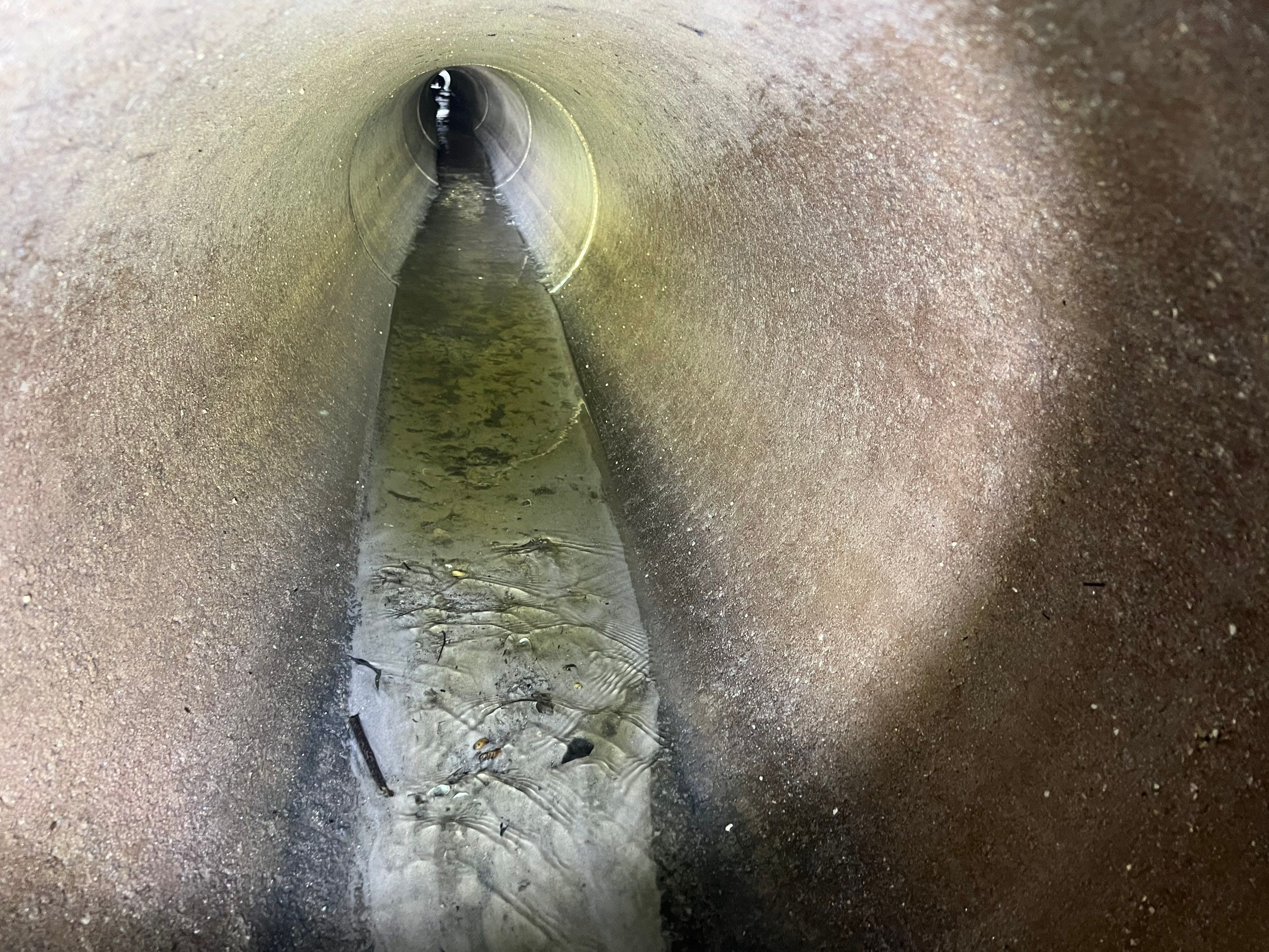 Bonita Bay Condo Stormwater Maintenance with PRS by Don Mar, Inc. Storm Water Solutions