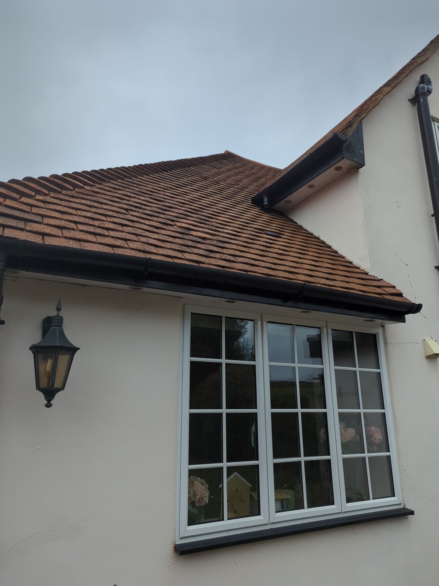 Roof Clean  - Moss Removal - Gutter Clean by Ges Exterior Cleaning ltd