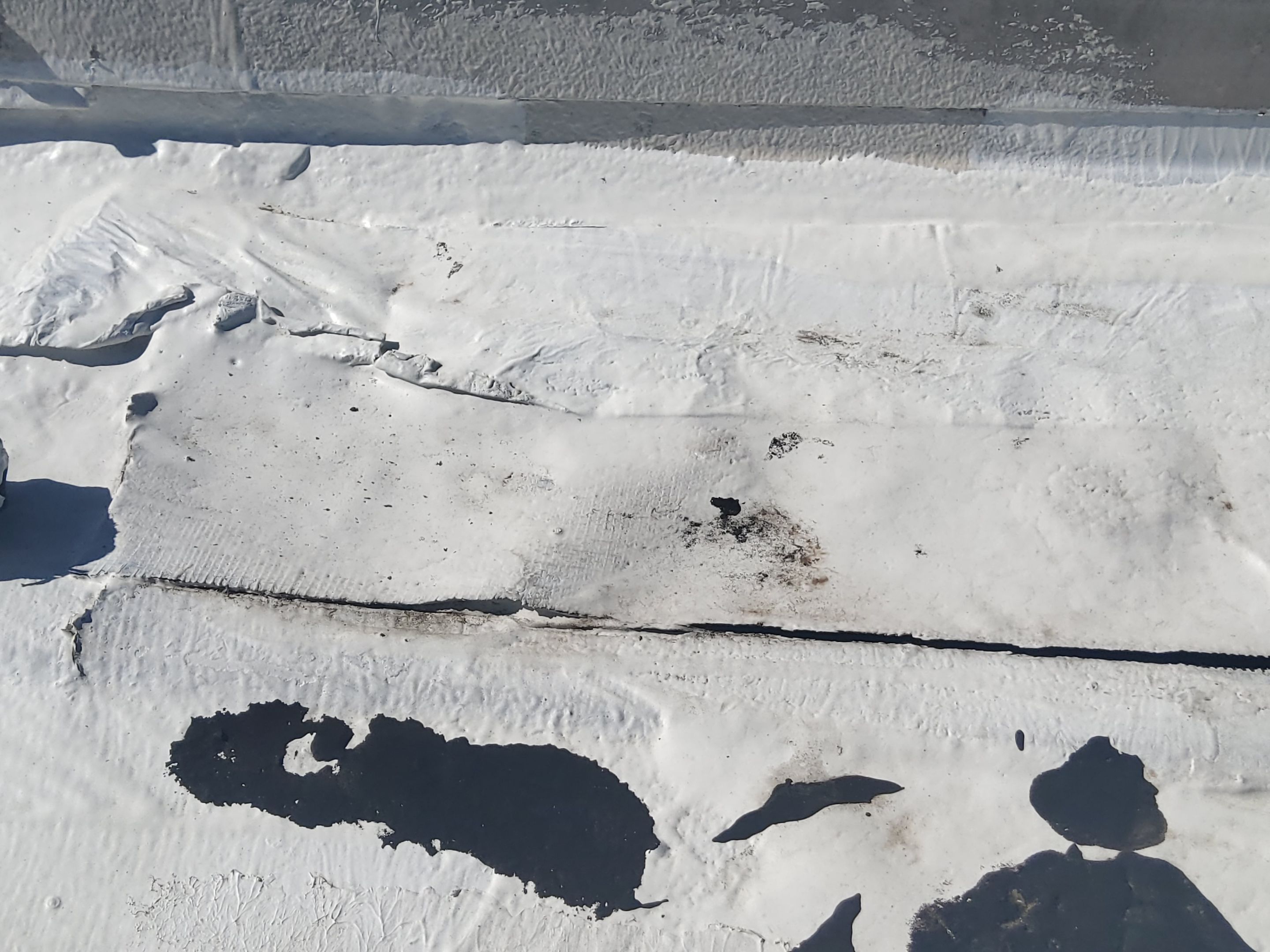 Tractor Supply Roof Repair by iGreen Solutions