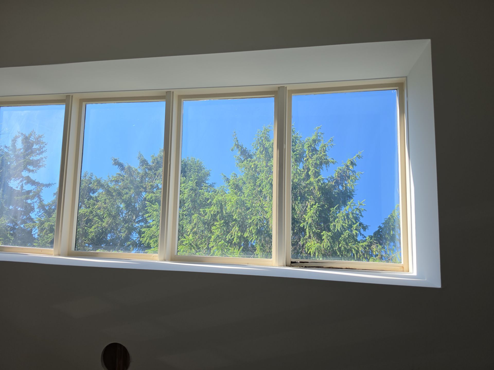 Roof Repair and Custom Skylight Sealing in Bloomfield Hills by EverNew Roofing