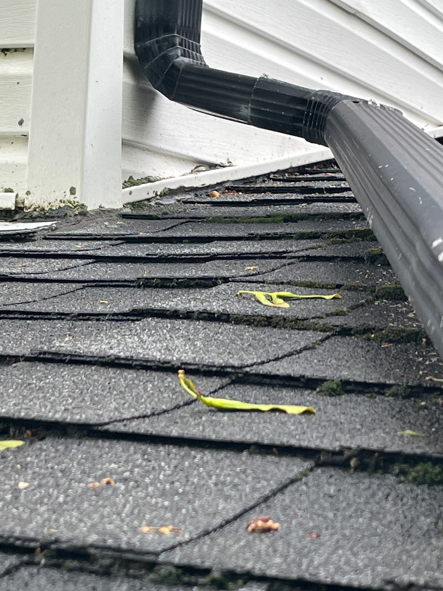 Roof Replacement using Owens Corning Estate Gray by 180 Contractors