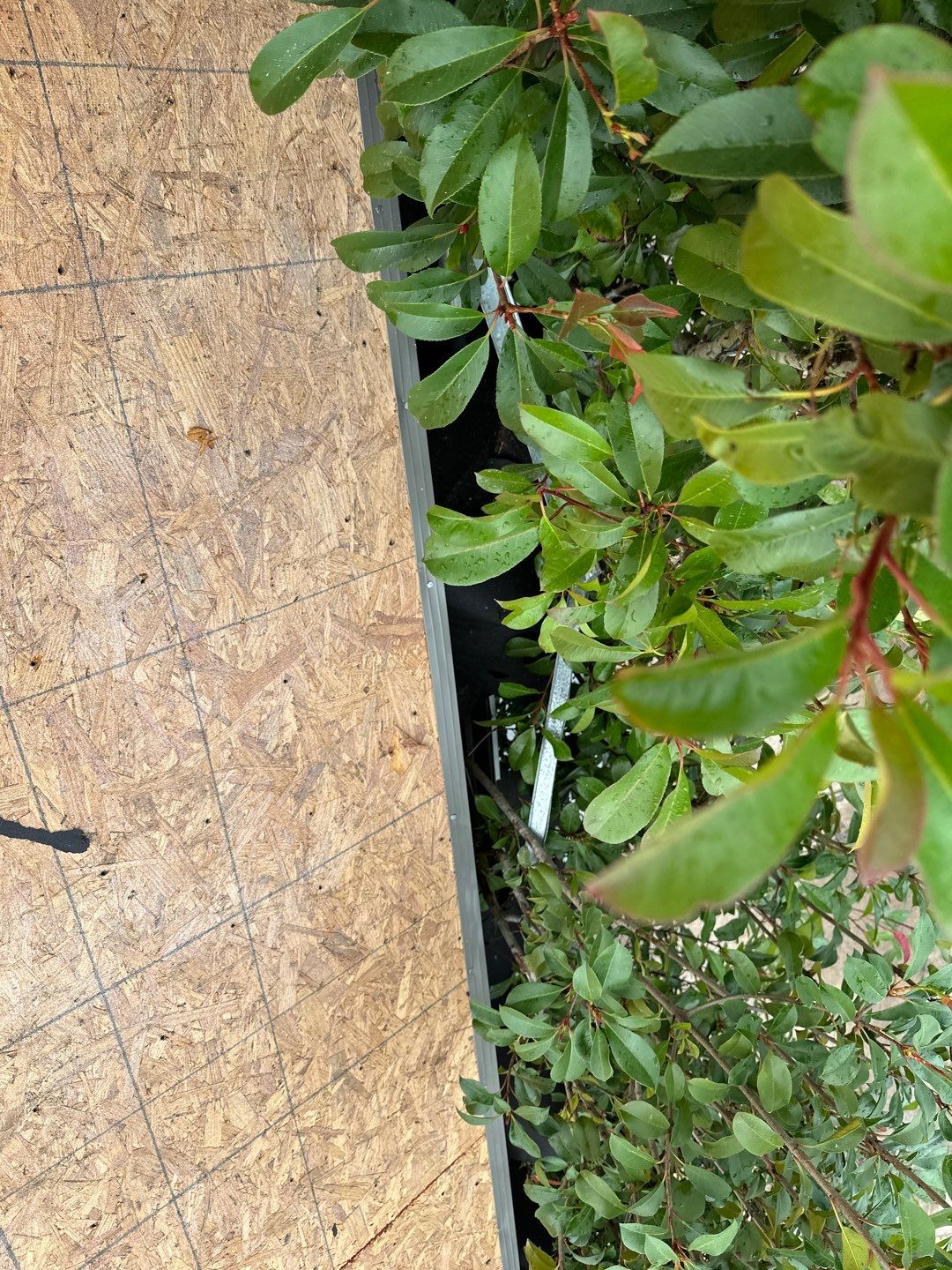 Residential Roofing Installation using Owen's Corning Duration (Lifetime) Shingles by Roof Repair Services LLC