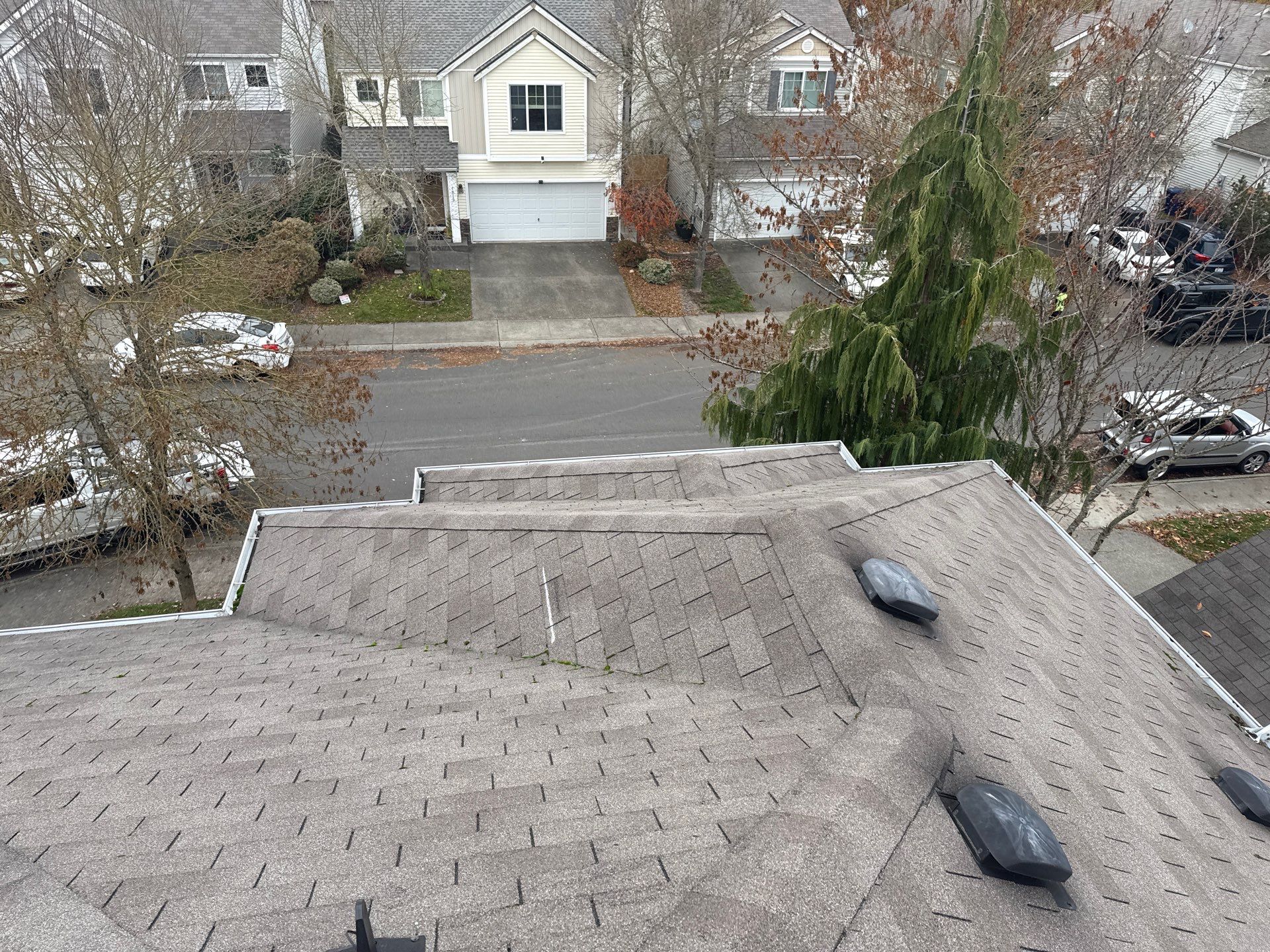 GAF Timberline NS, Pewter Gray  by Proline Roofing & Restoration LLC