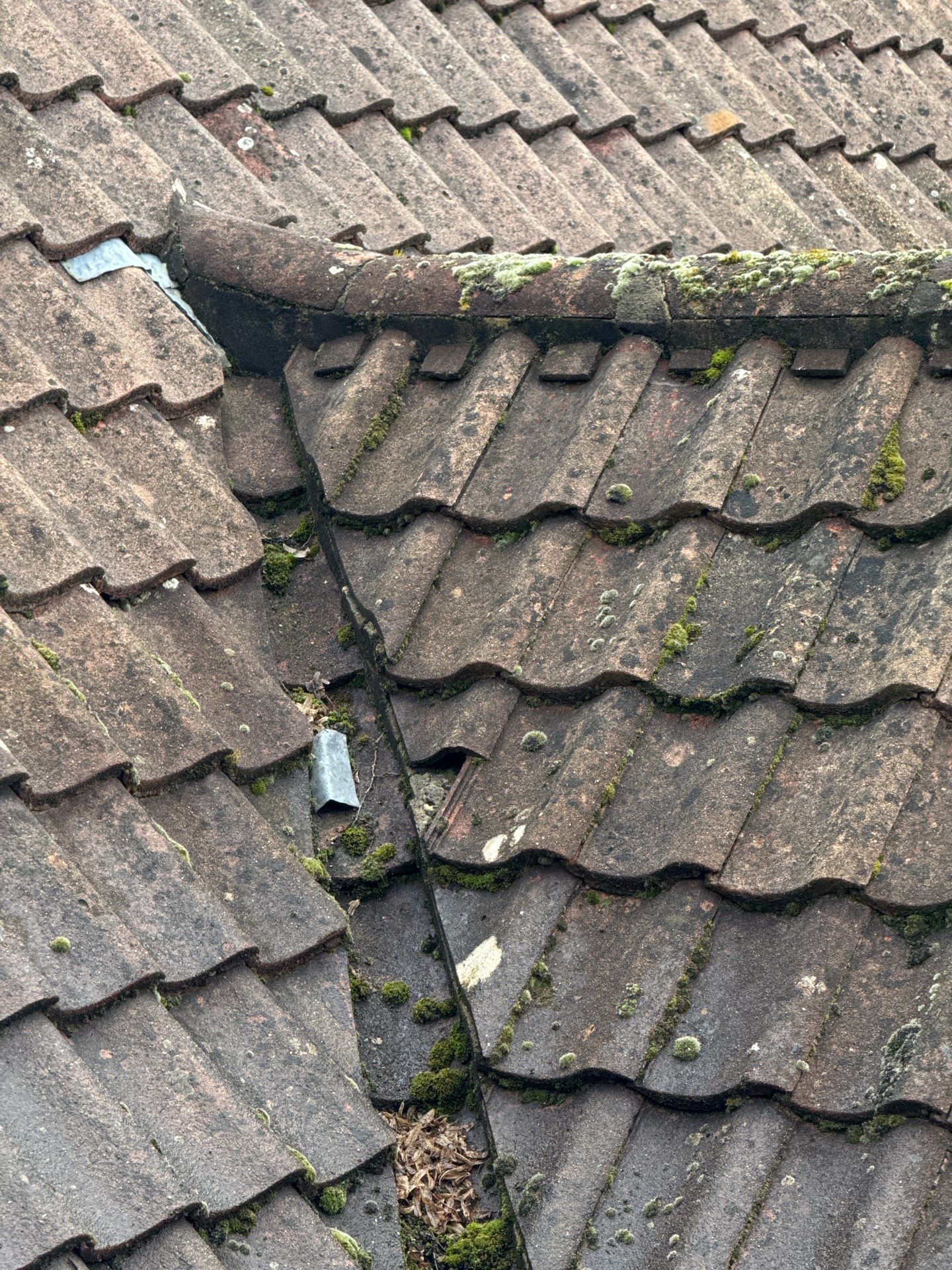 Roof Clean  - Moss Removal - Gutter Clean using Honda 15lpm Low Pressure Washing Machine by Ges Exterior Cleaning ltd