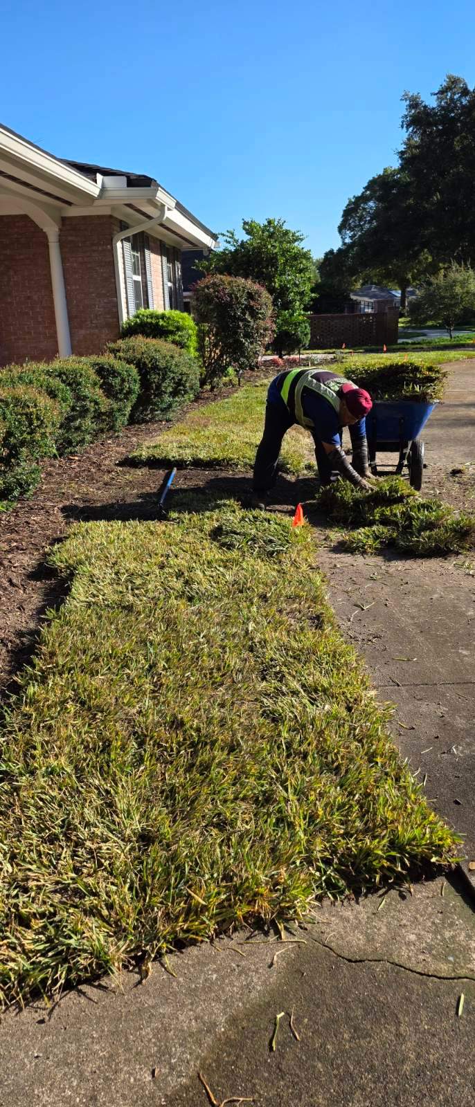 Sod & Landscape Install | Deerwood Community by ProGreen Services