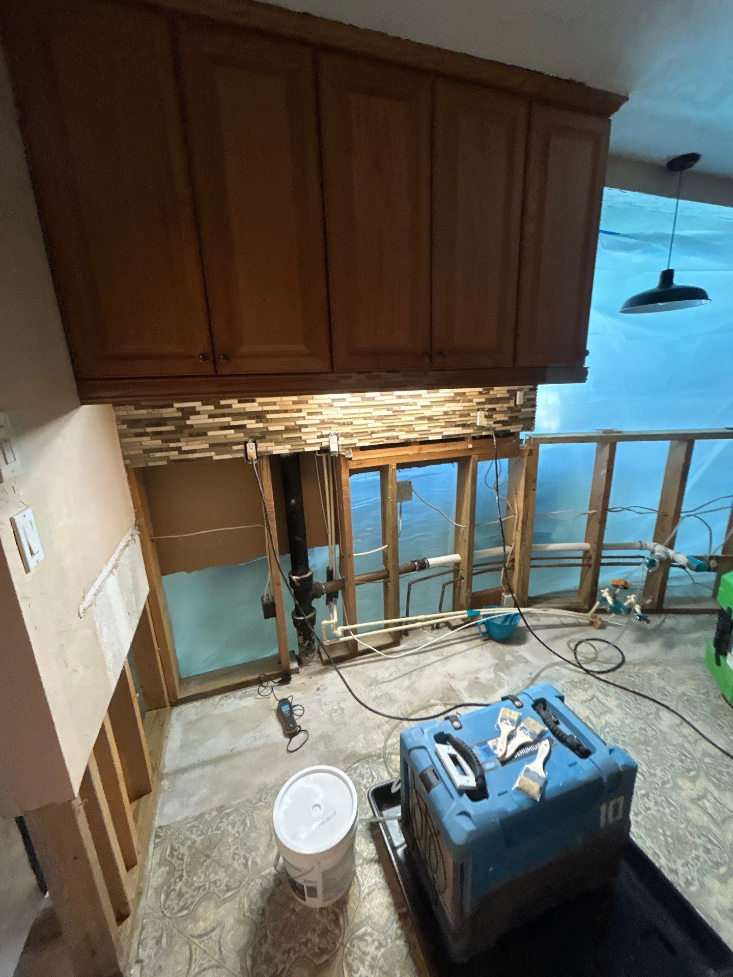 Black Mold Removal In Venice Florida by Ampm Restoration Services