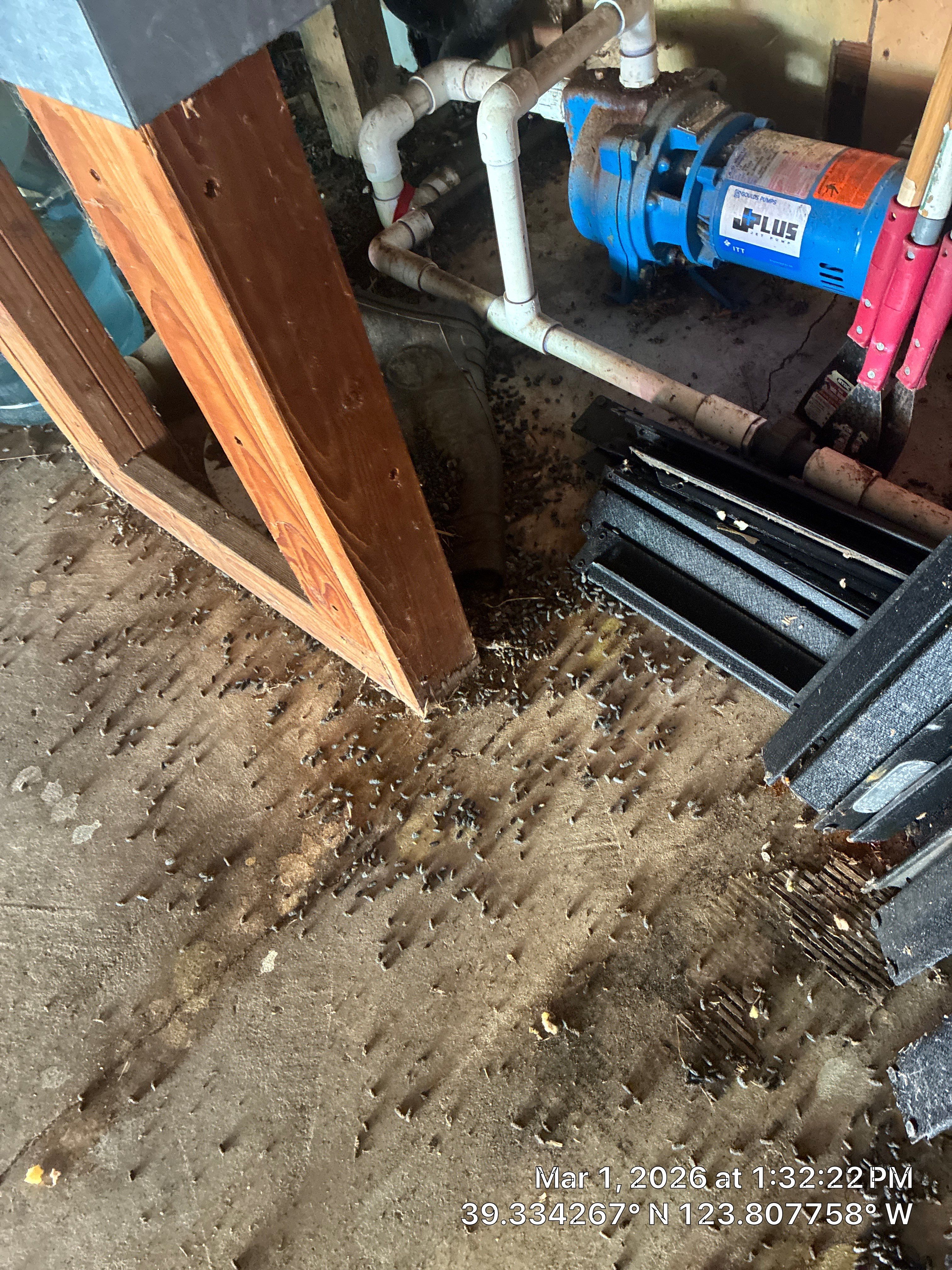 Project in Mendocino by 911 Hazmat Cleanup 