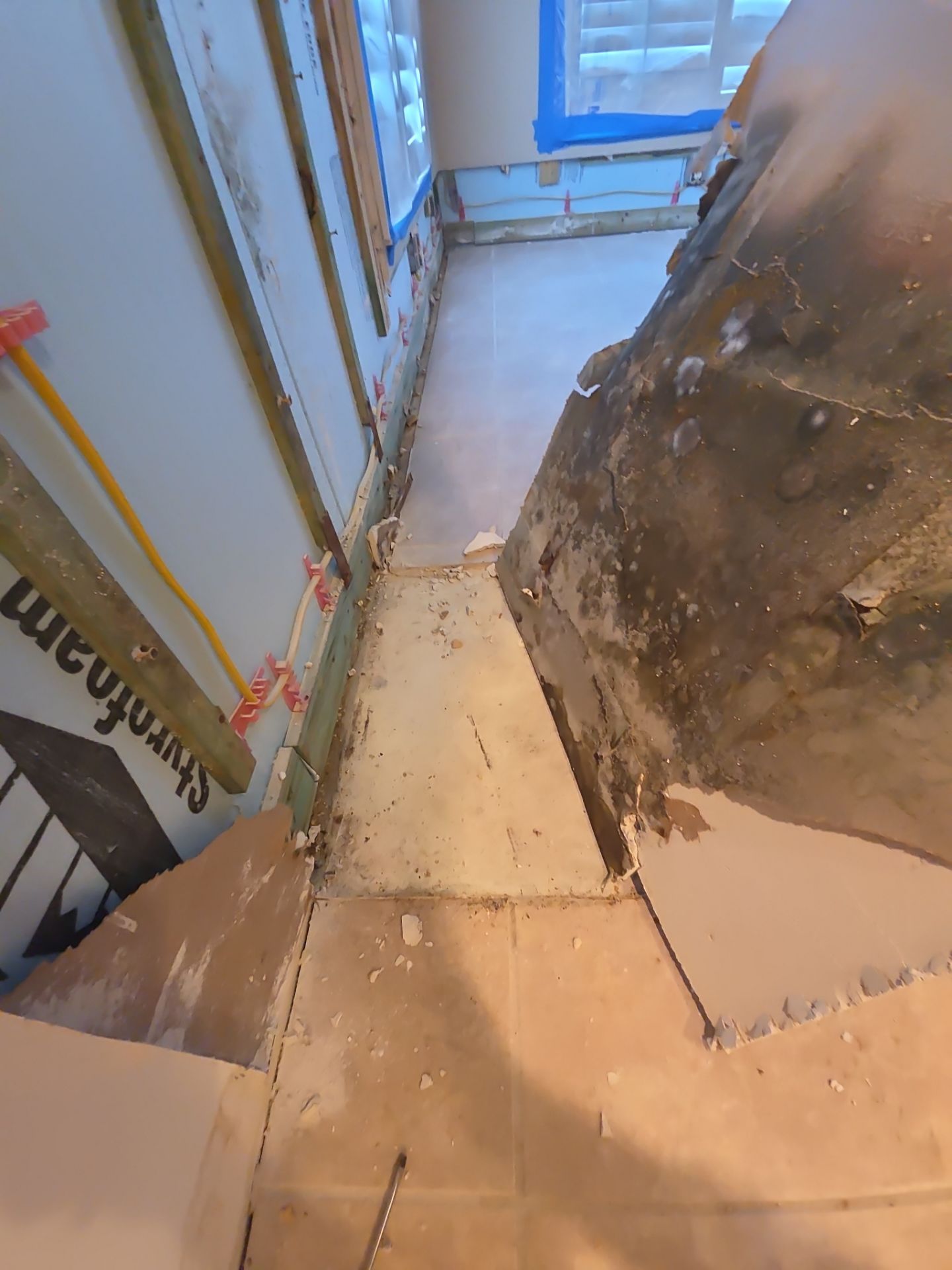 Fort Myers Water Damage Restoration and Professional Mold Remediation by Microscope