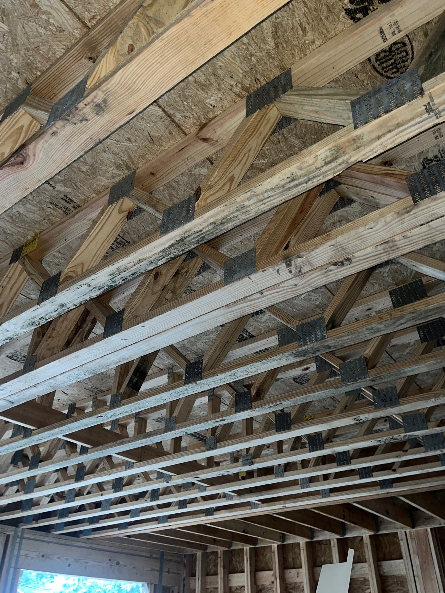 Mold remediation for custom home addition by EAS Environmental, LLC.
