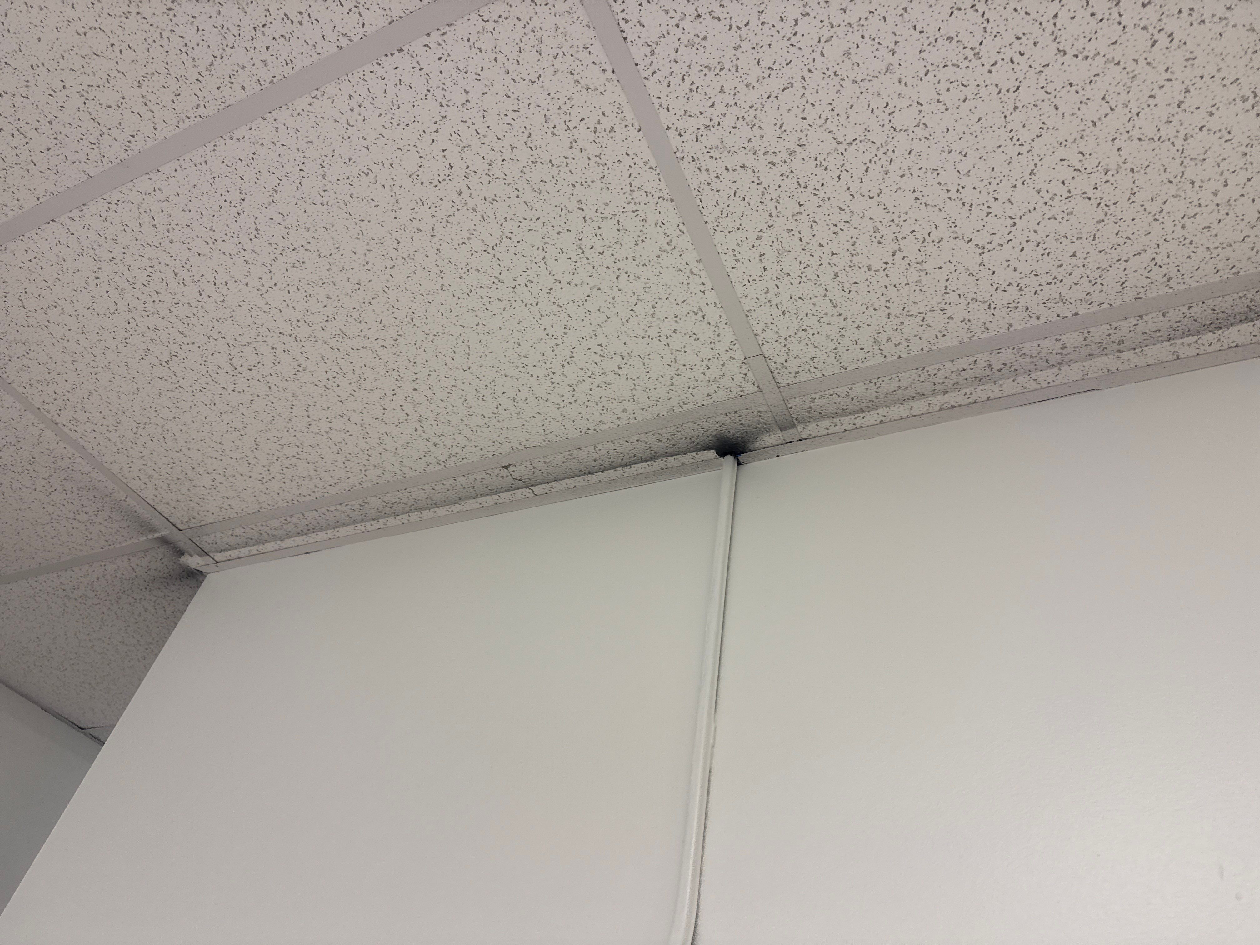 Repaint Walls in Commercial Unit by Midwest Paint LLC