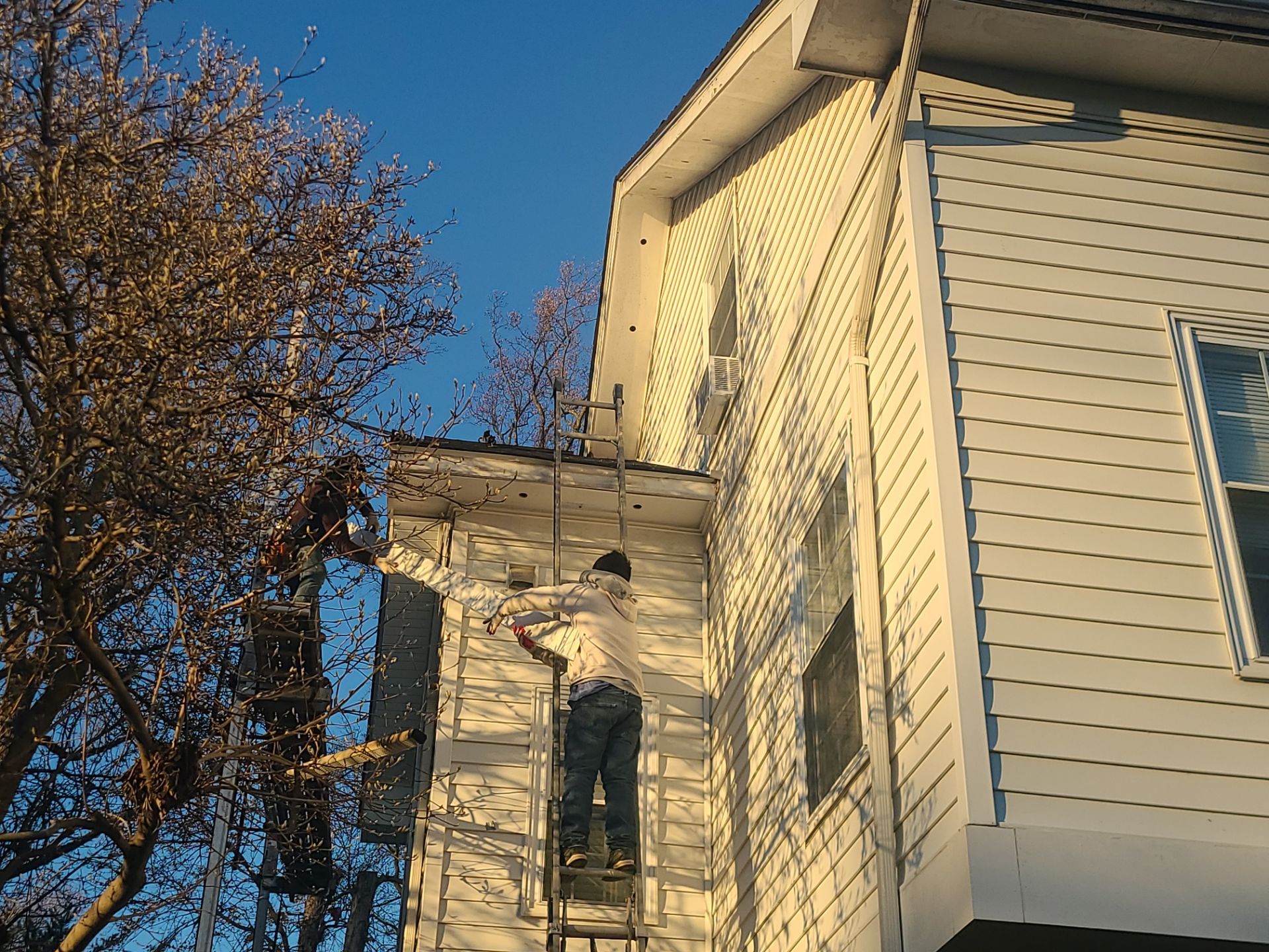 Falls Church: Residential Roof Replacement with CertainTeed Landmark Pro in Max Def Charcoal Black by RM Banning, Inc.