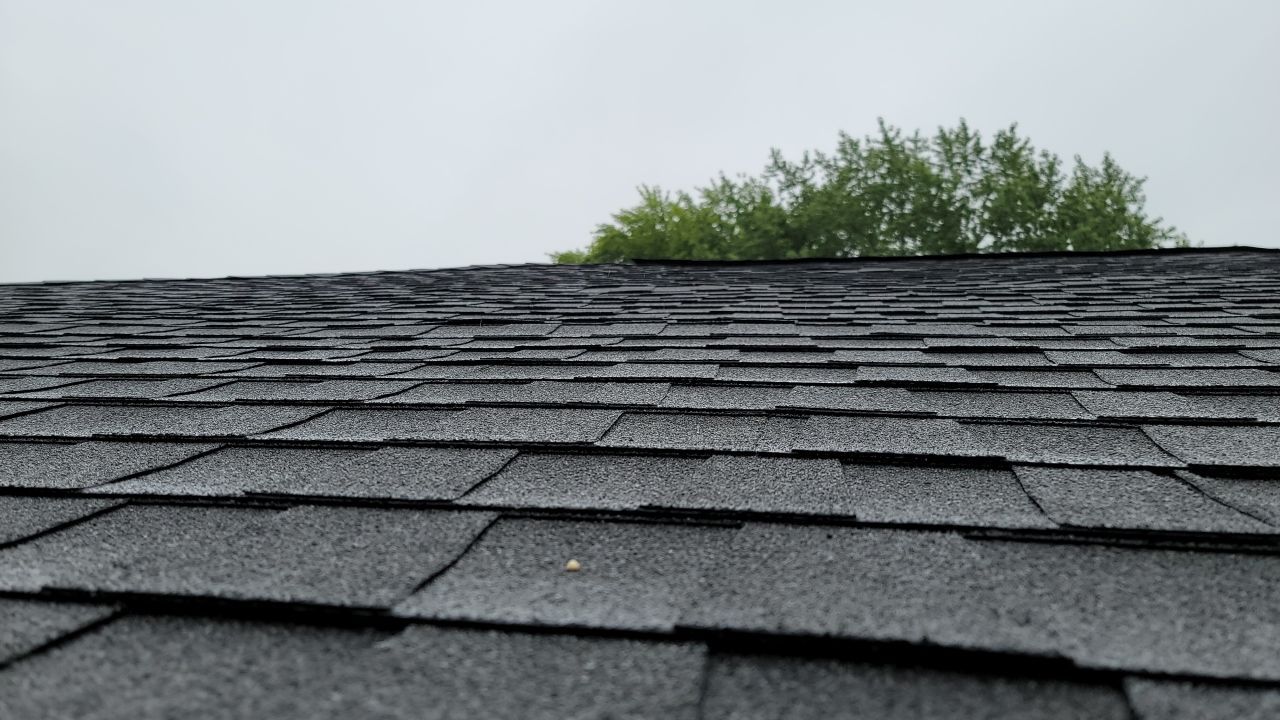 Brand: Atlas Pinnacle Color: Pristine Scotchgard Heather Drip: Musket Brown by Eagle Eye Roofing