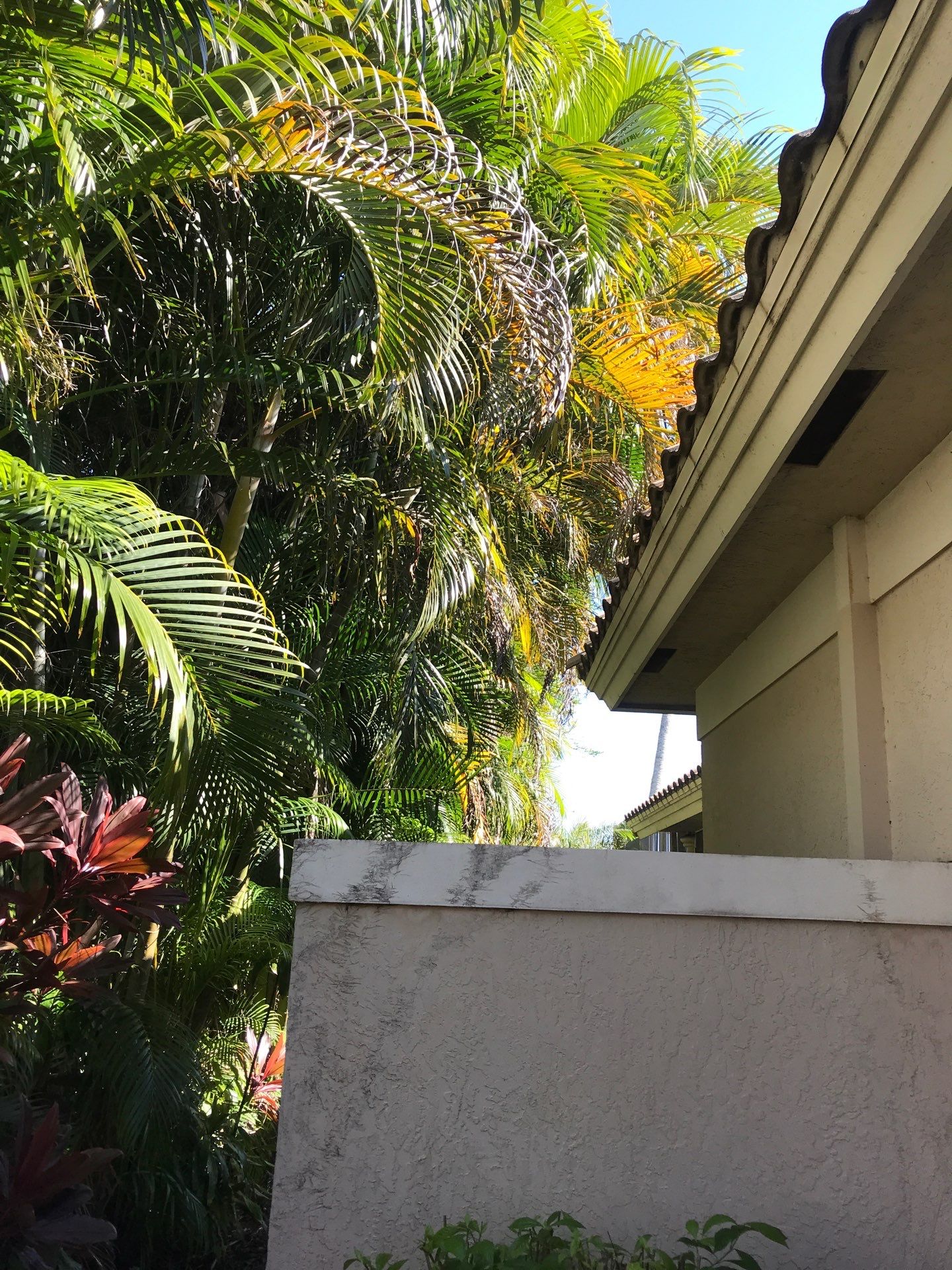 ✨ “Sweep, Spruce & Scoot!” ✨ by Alpha Zeta Enterprises Inc