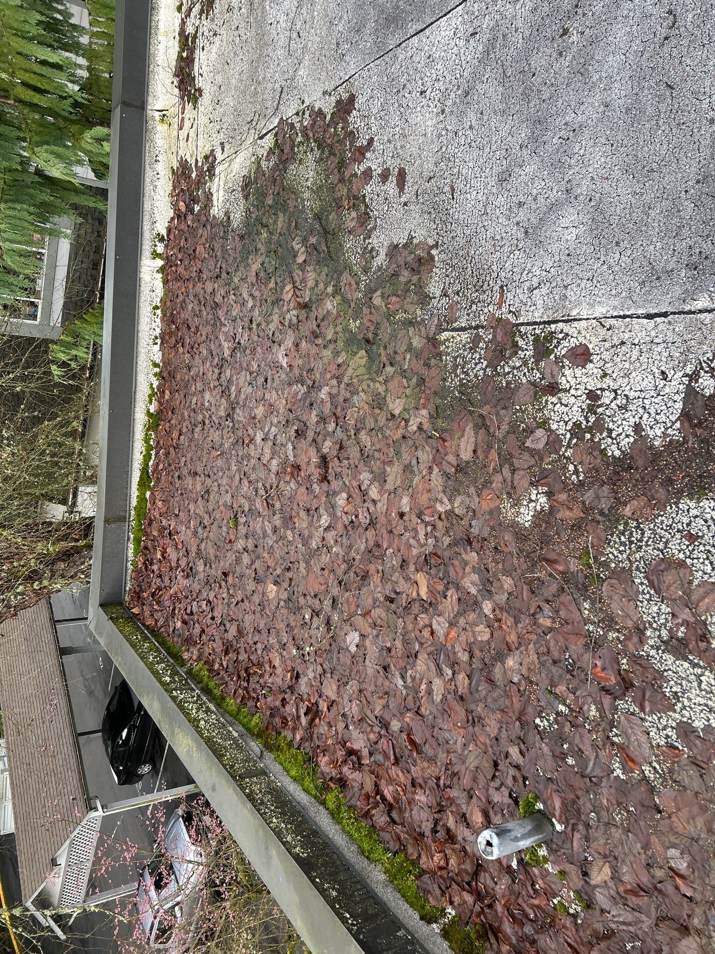 Project in Kirkland by Peaks and Valleys Construction