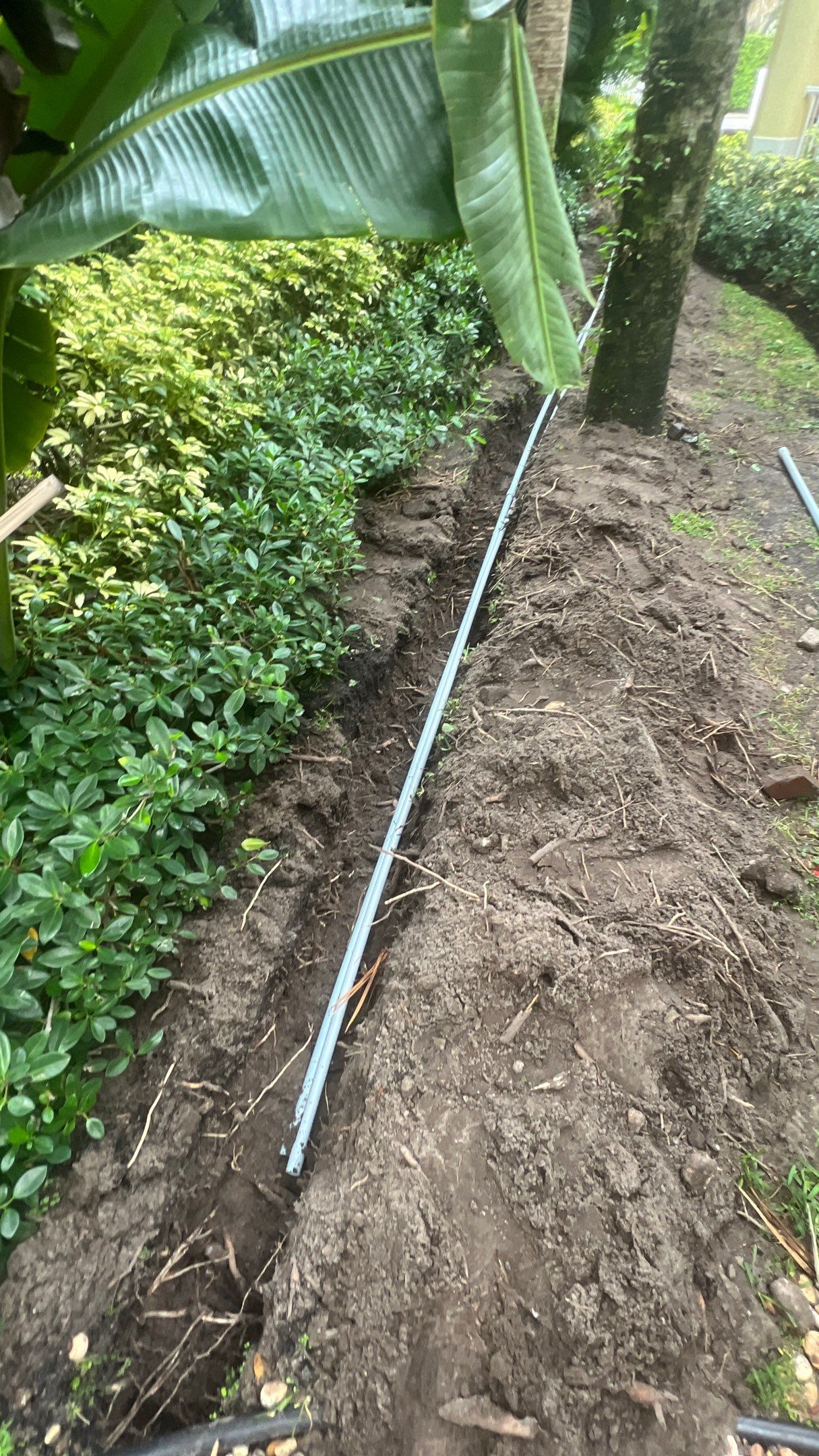 Hazard  by The Landscaping People