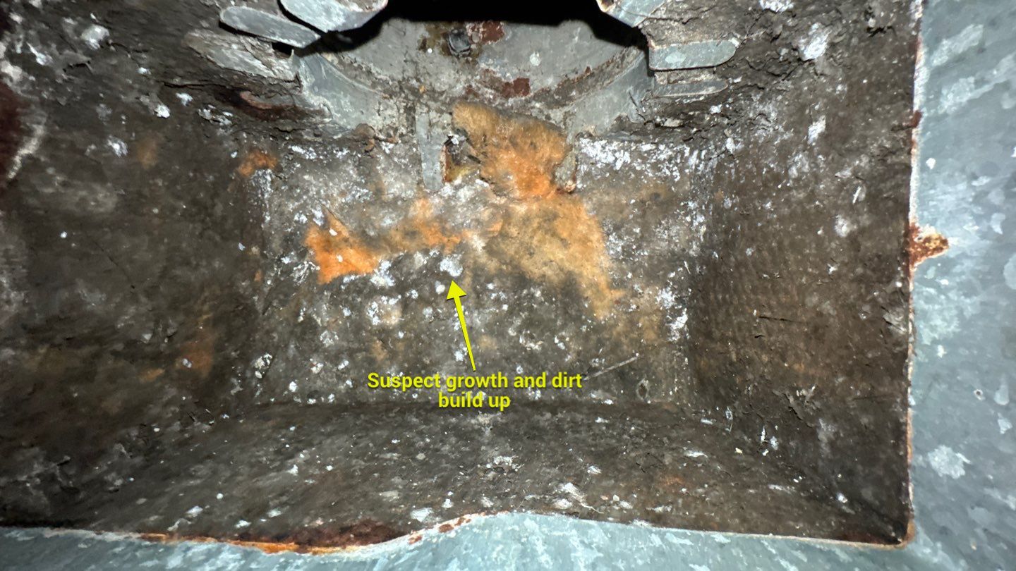Extremely Dirty Air Duct Cleaning in Fruitland Park by Hygienic Air, Inc