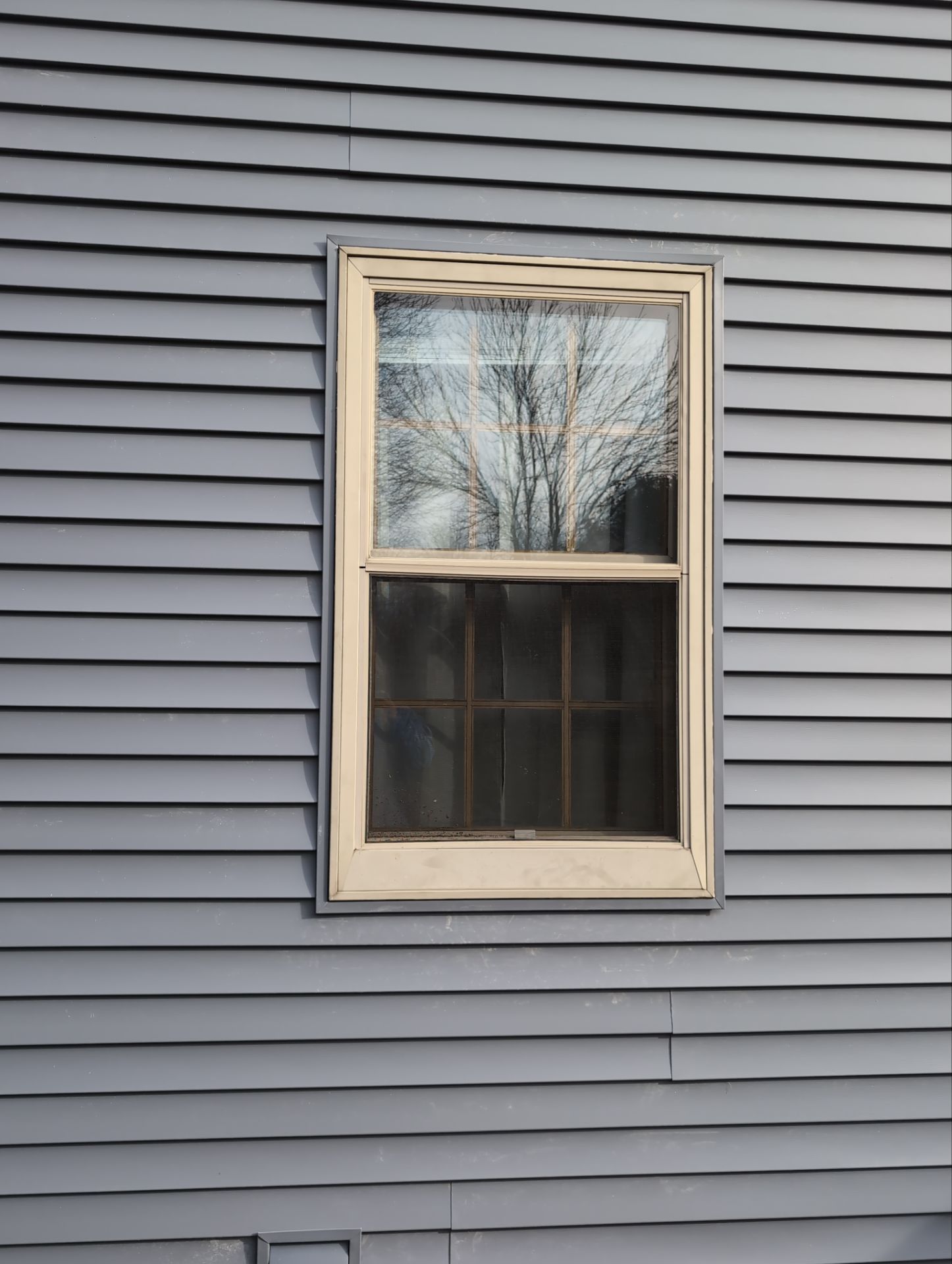 Sarah's Dream Renovation  by Gellings Roofing & Siding