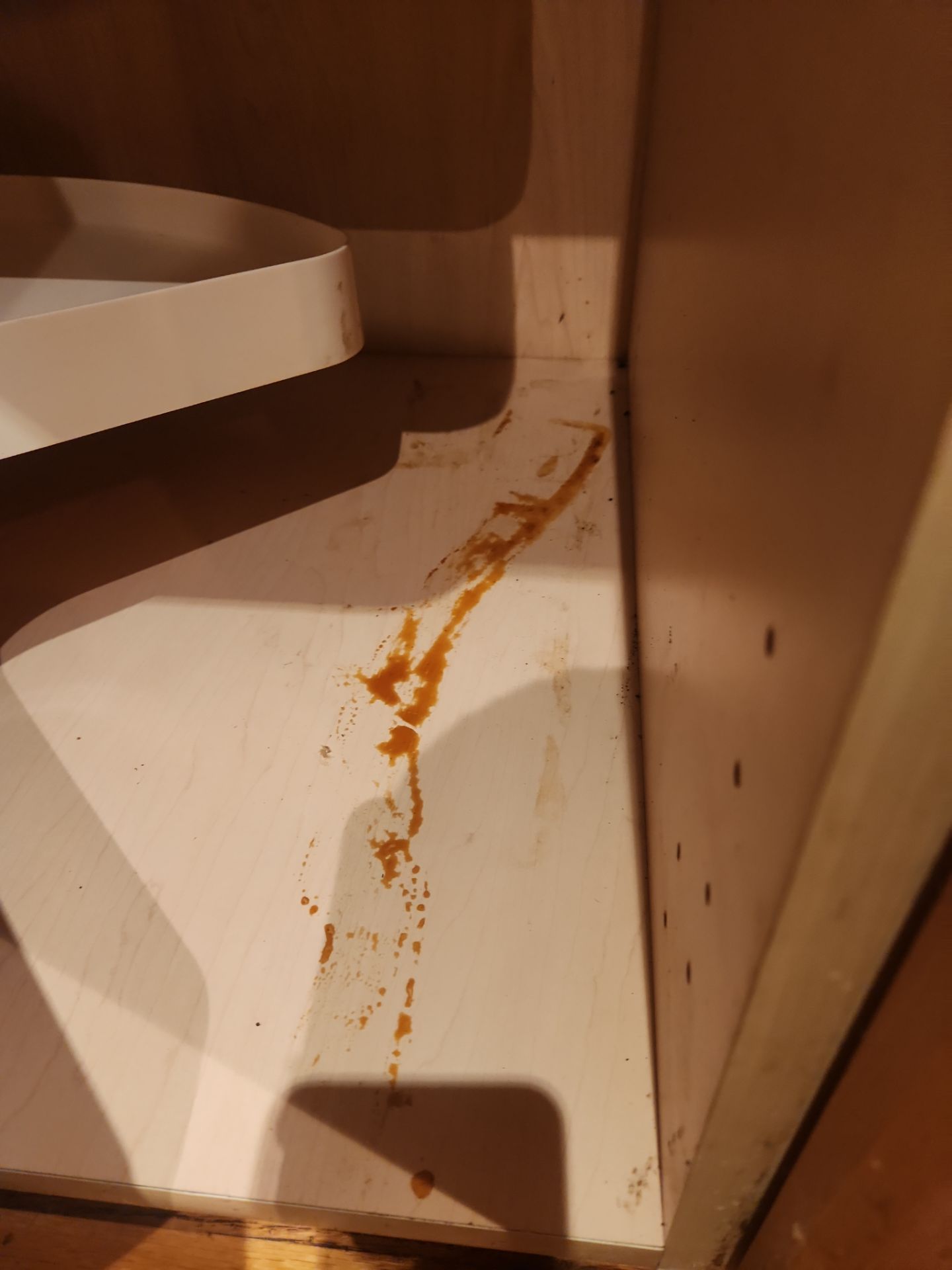 Project in Chicago by Xo Clean Services 