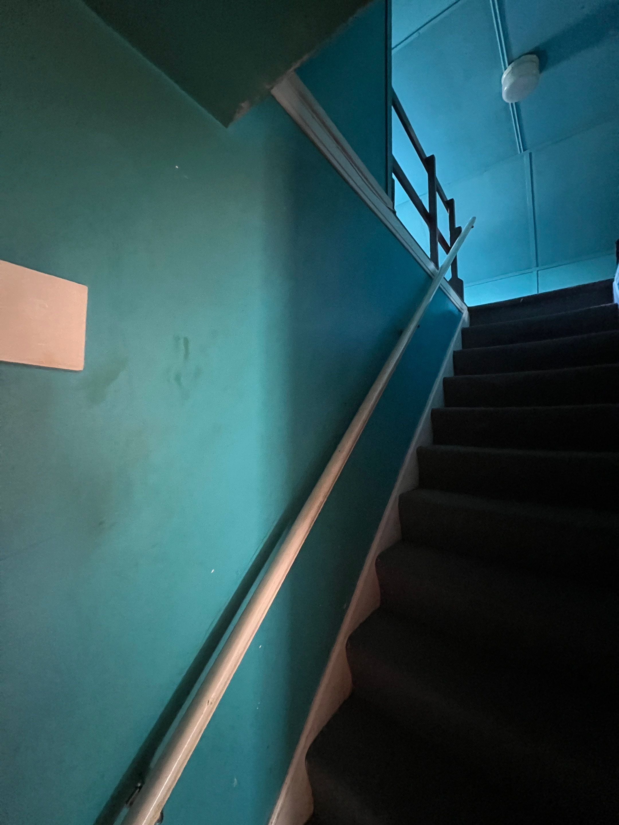 Rent-Ready Renovation for Tenant Transition by 10X Property Mgt