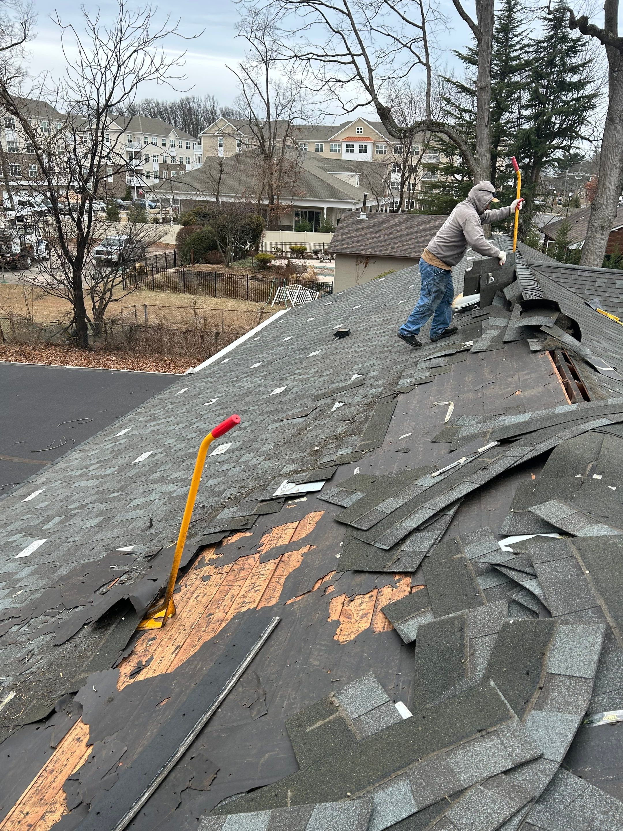 Pewter Gray Shingles by Reimagine Roofing