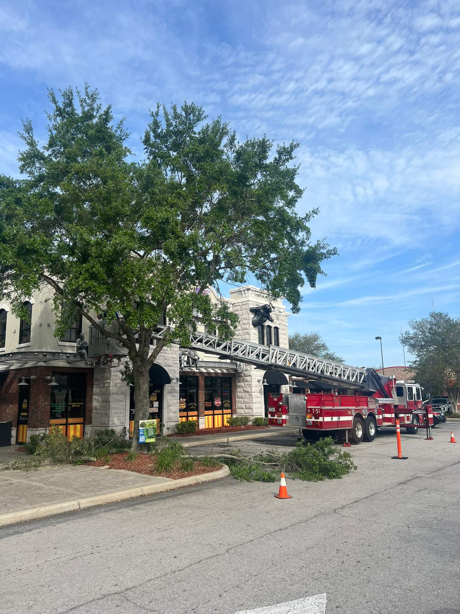 Tree Trimming | Larry's Giant Subs by ProGreen Services