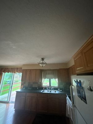 Ceiling repair and repaint