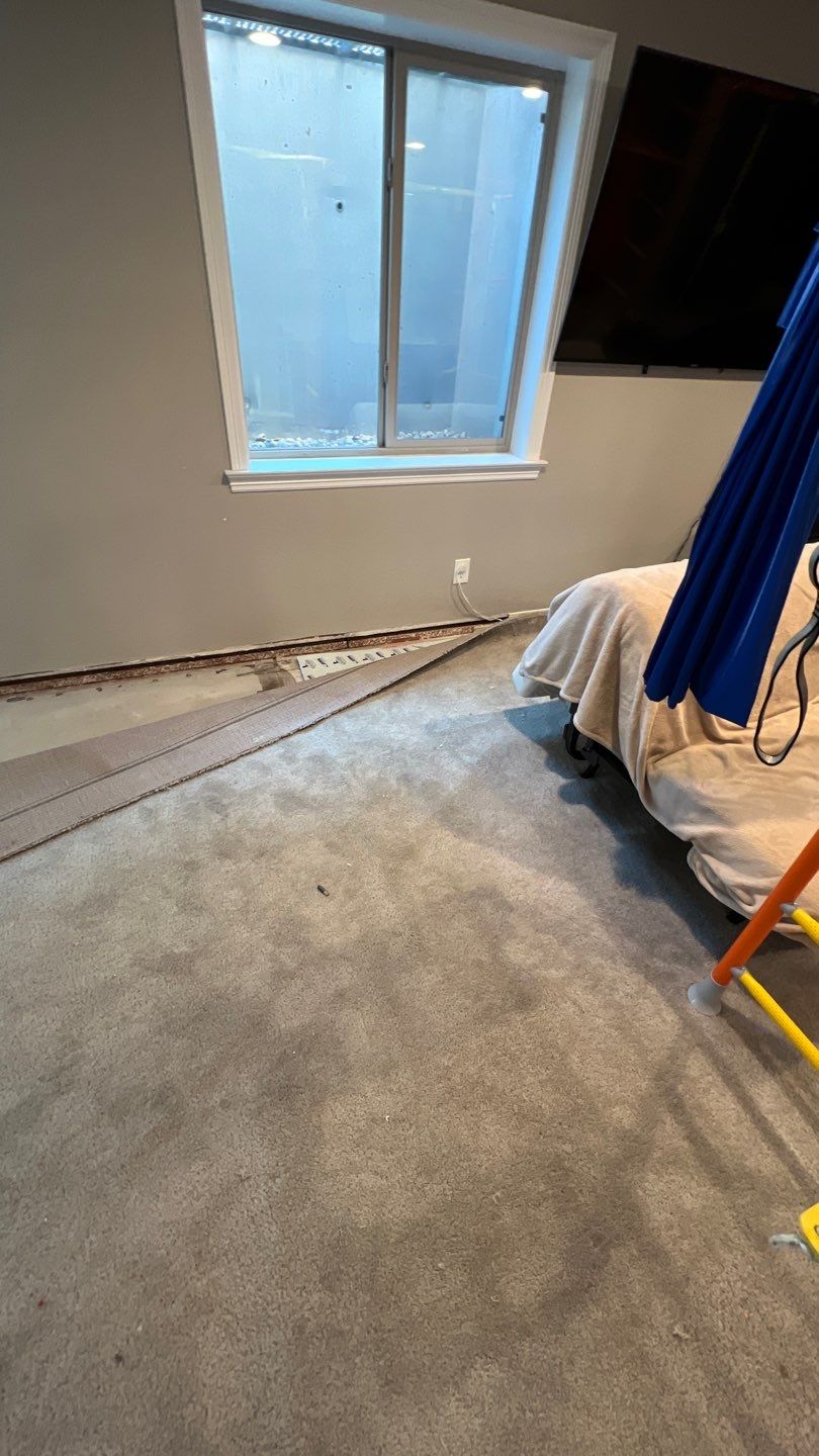 Mold Remediation  by Accountable Home Services